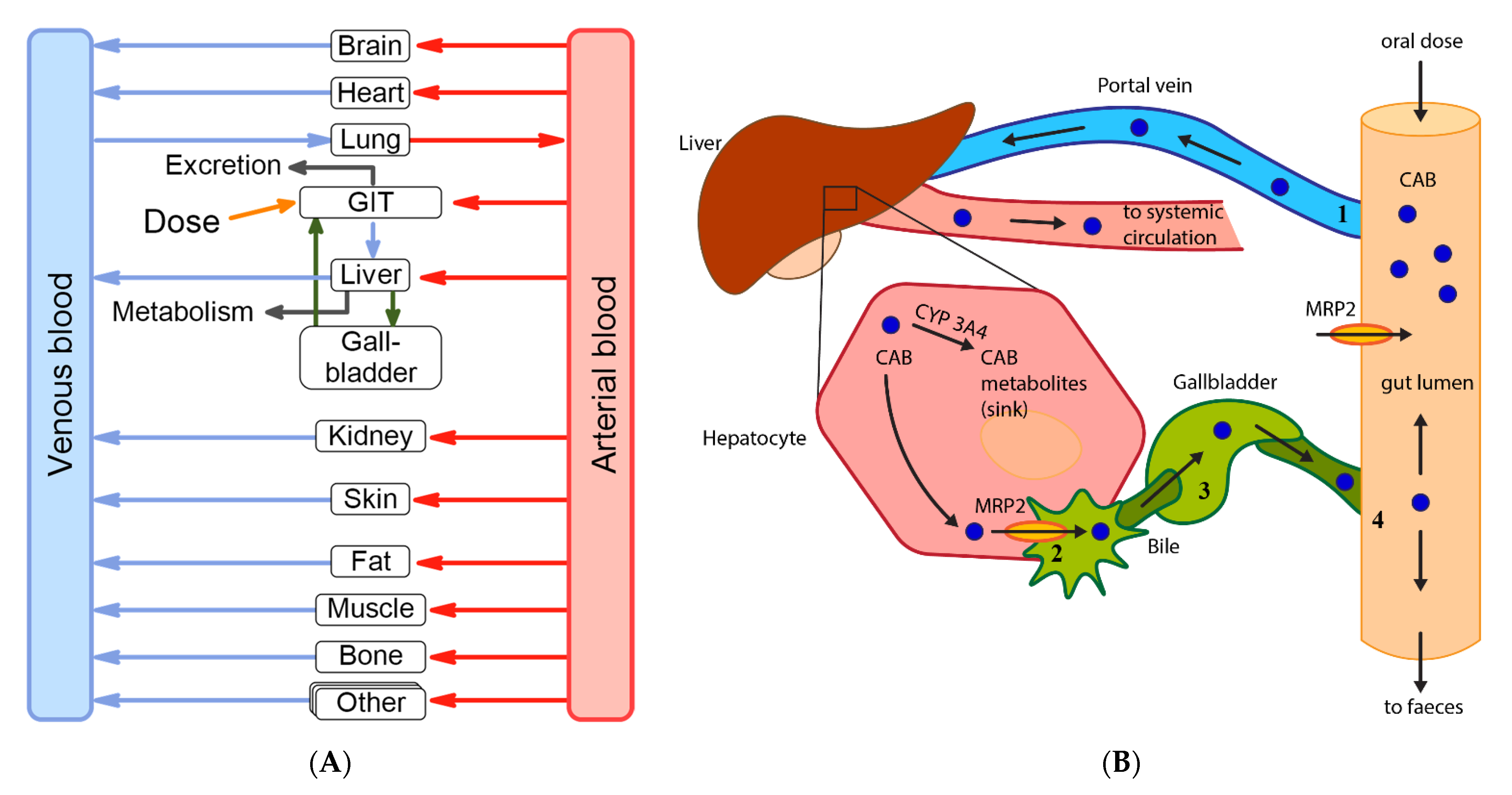 Pharmaceutics 13 00778 g006 Pharmaceutics 13 00778 g006