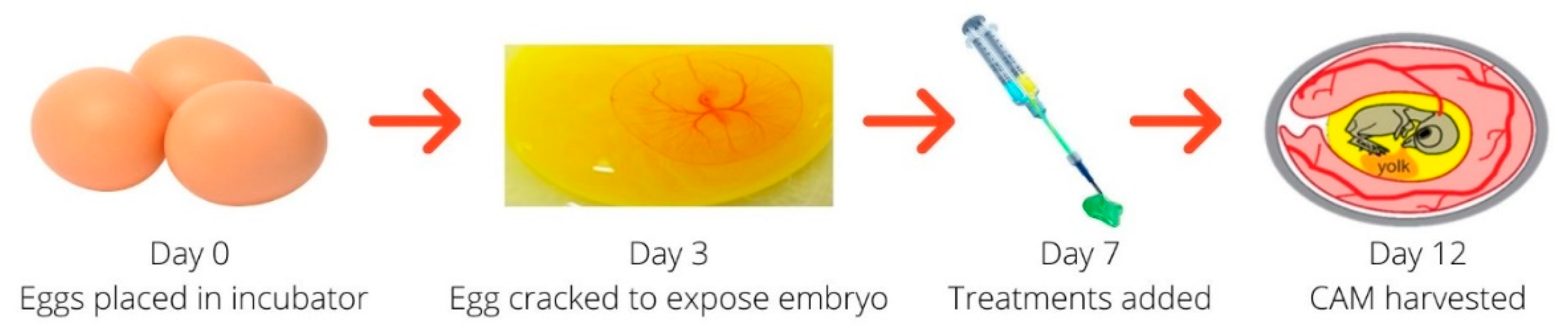 Pharmaceutics 13 00779 g001