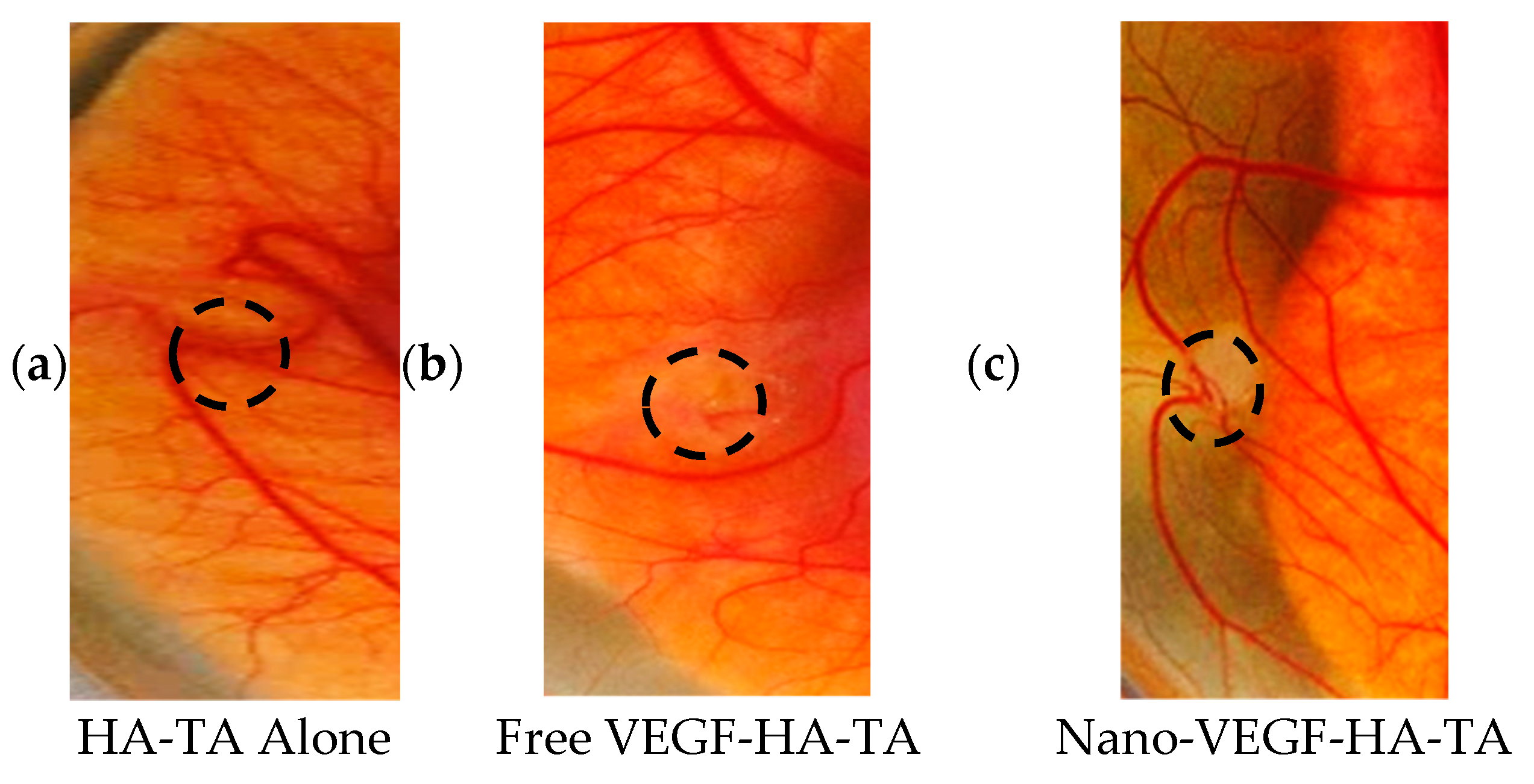 Pharmaceutics 13 00779 g003