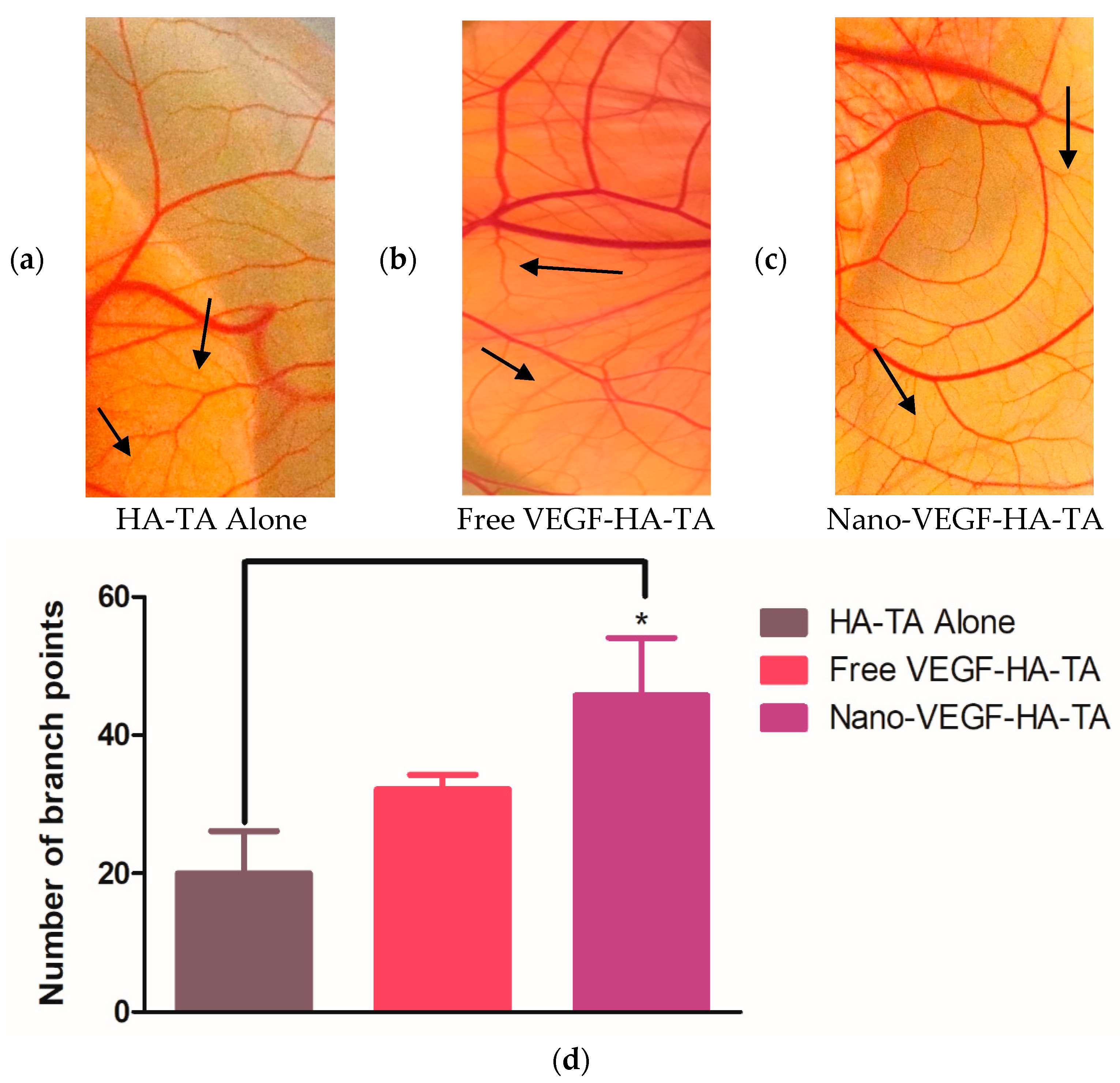 Pharmaceutics 13 00779 g004