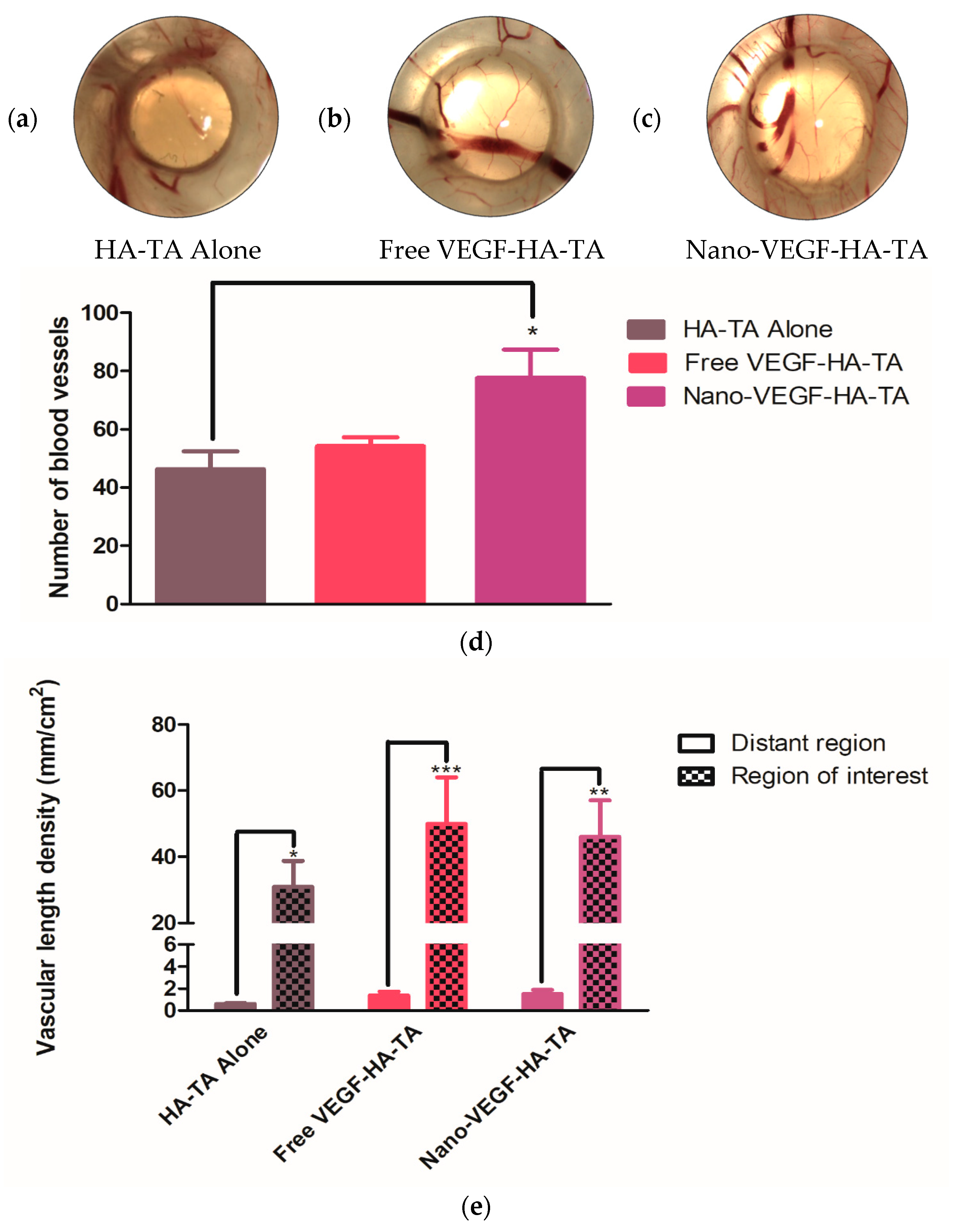 Pharmaceutics 13 00779 g005