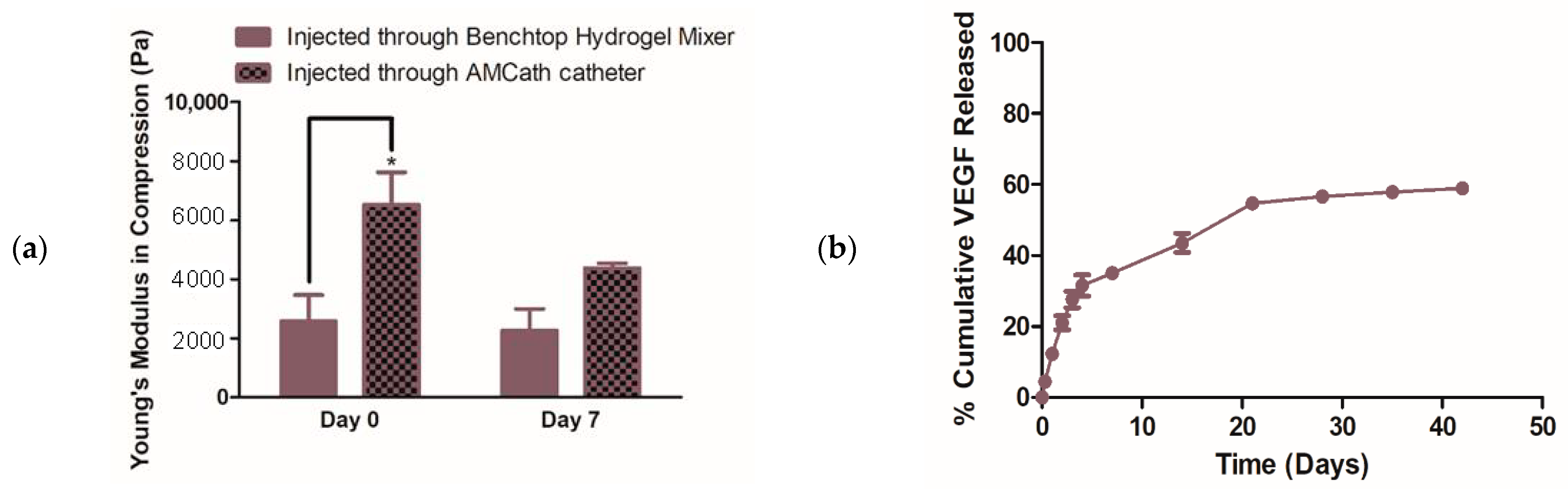 Pharmaceutics 13 00779 g006
