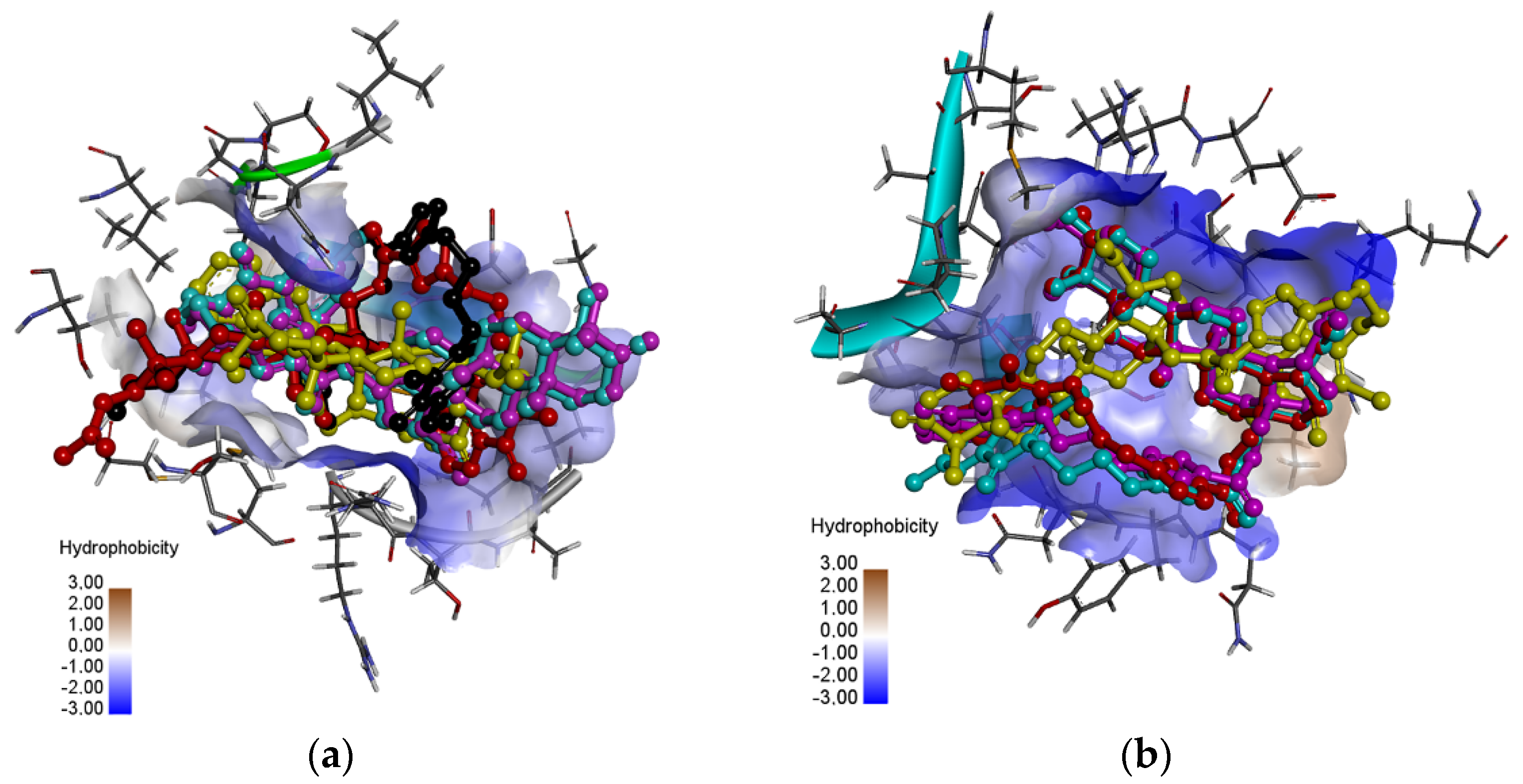 Pharmaceutics 13 00781 g008