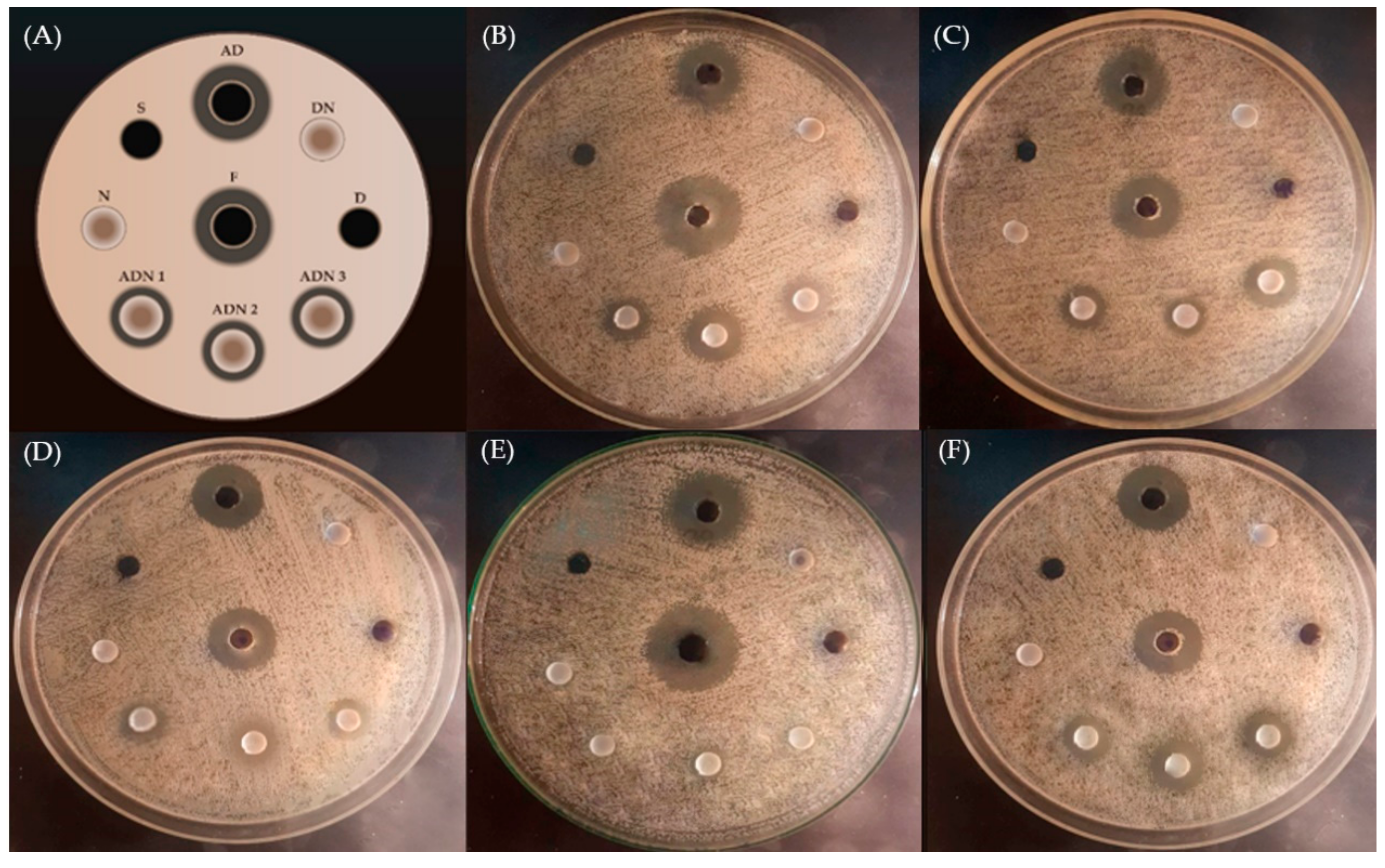 Pharmaceutics 13 00784 g002