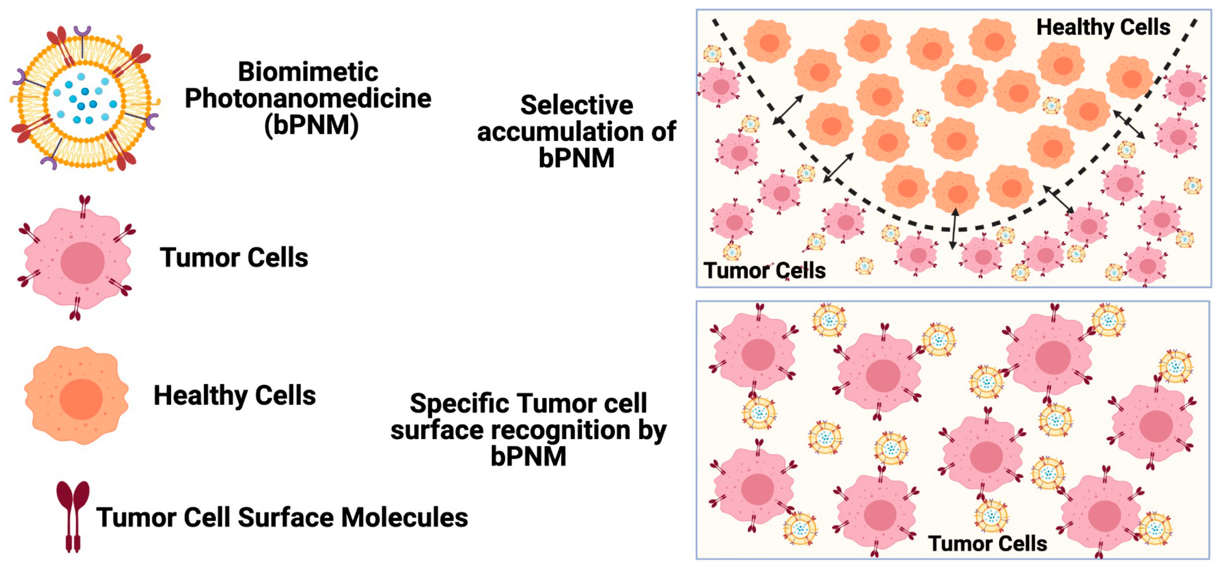 Pharmaceutics 13 00786 g001