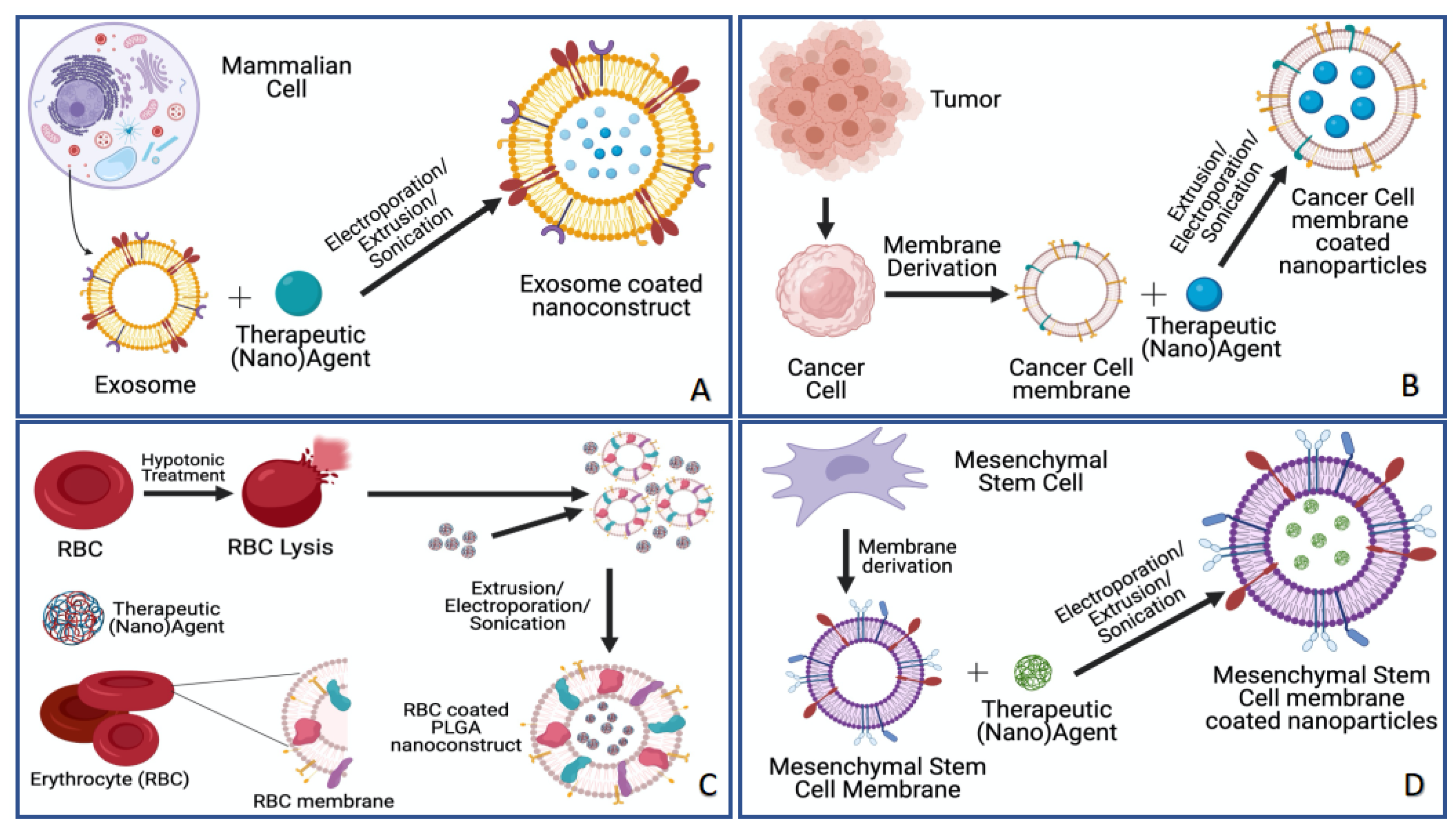 Pharmaceutics 13 00786 g002