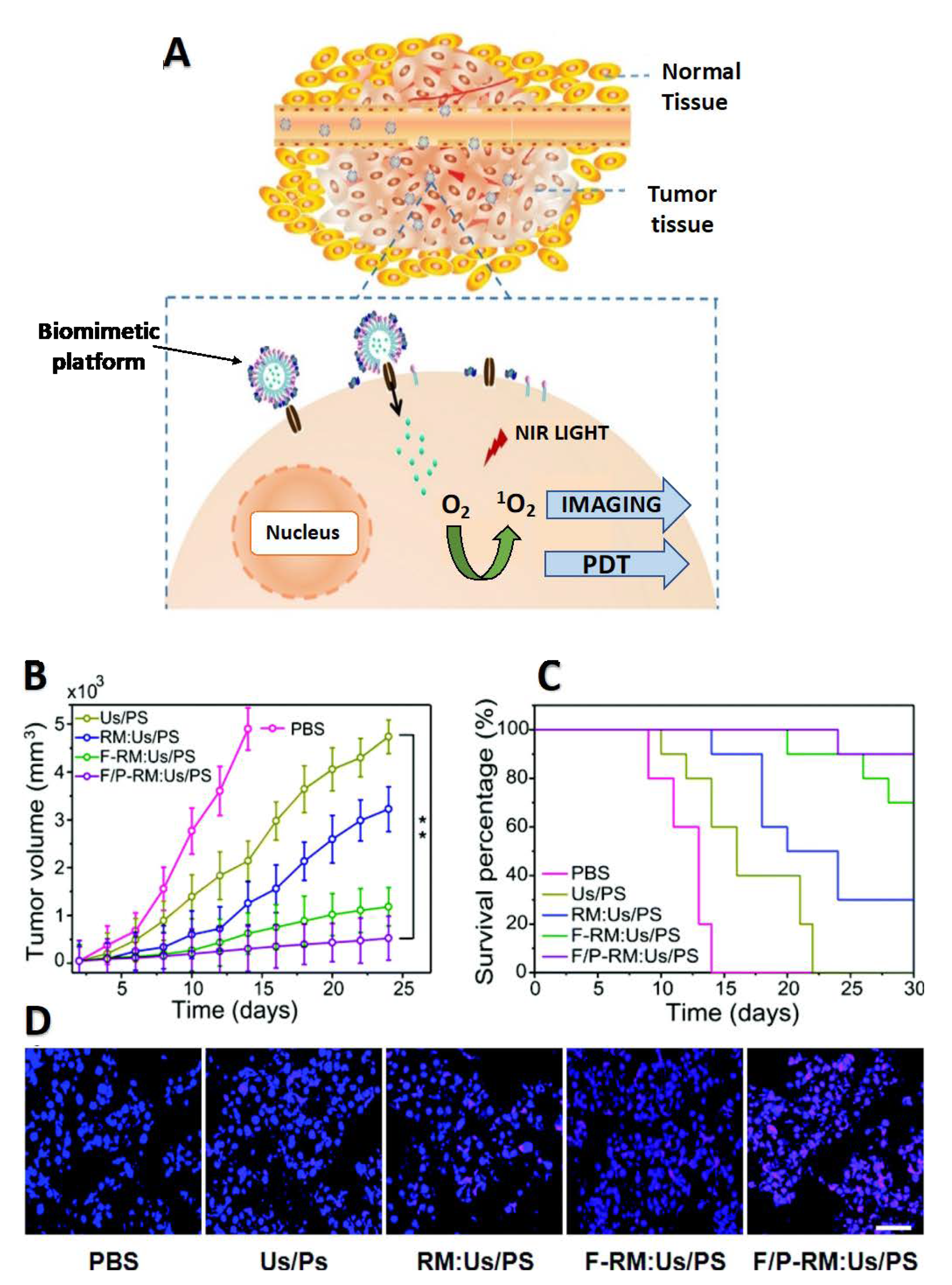 Pharmaceutics 13 00786 g003