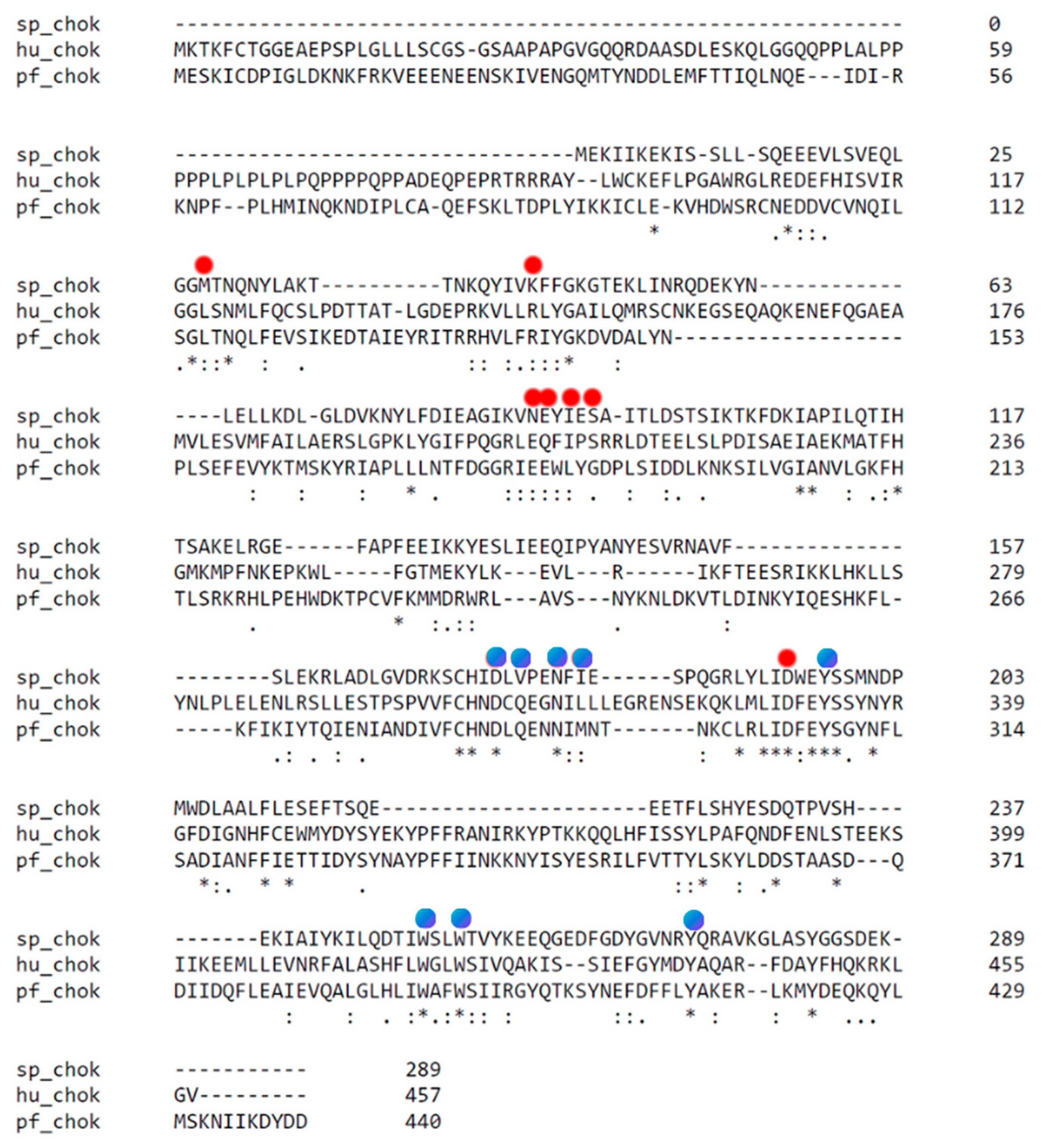 Pharmaceutics 13 00788 g004