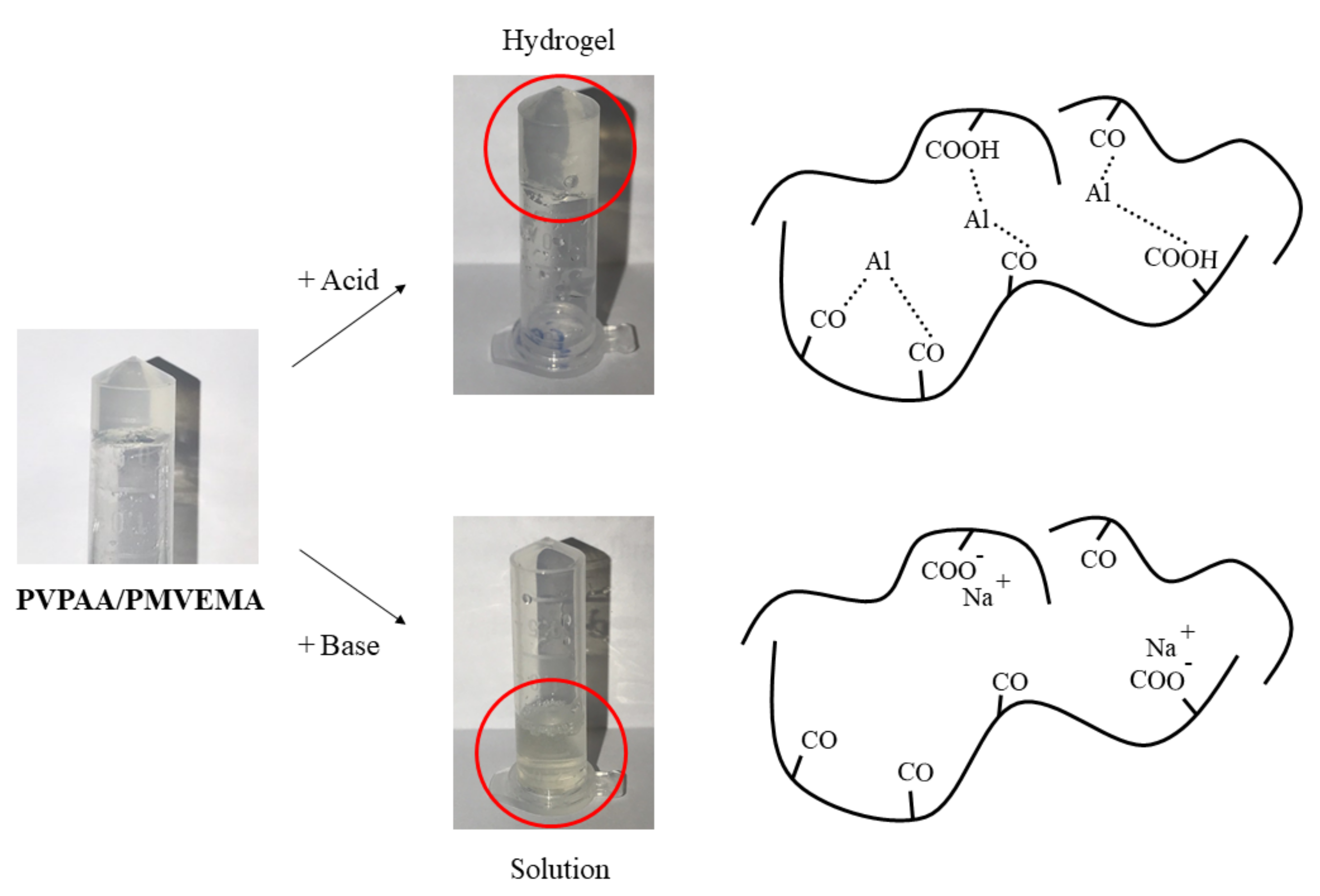 Pharmaceutics 13 00789 g005 Pharmaceutics 13 00789 g005