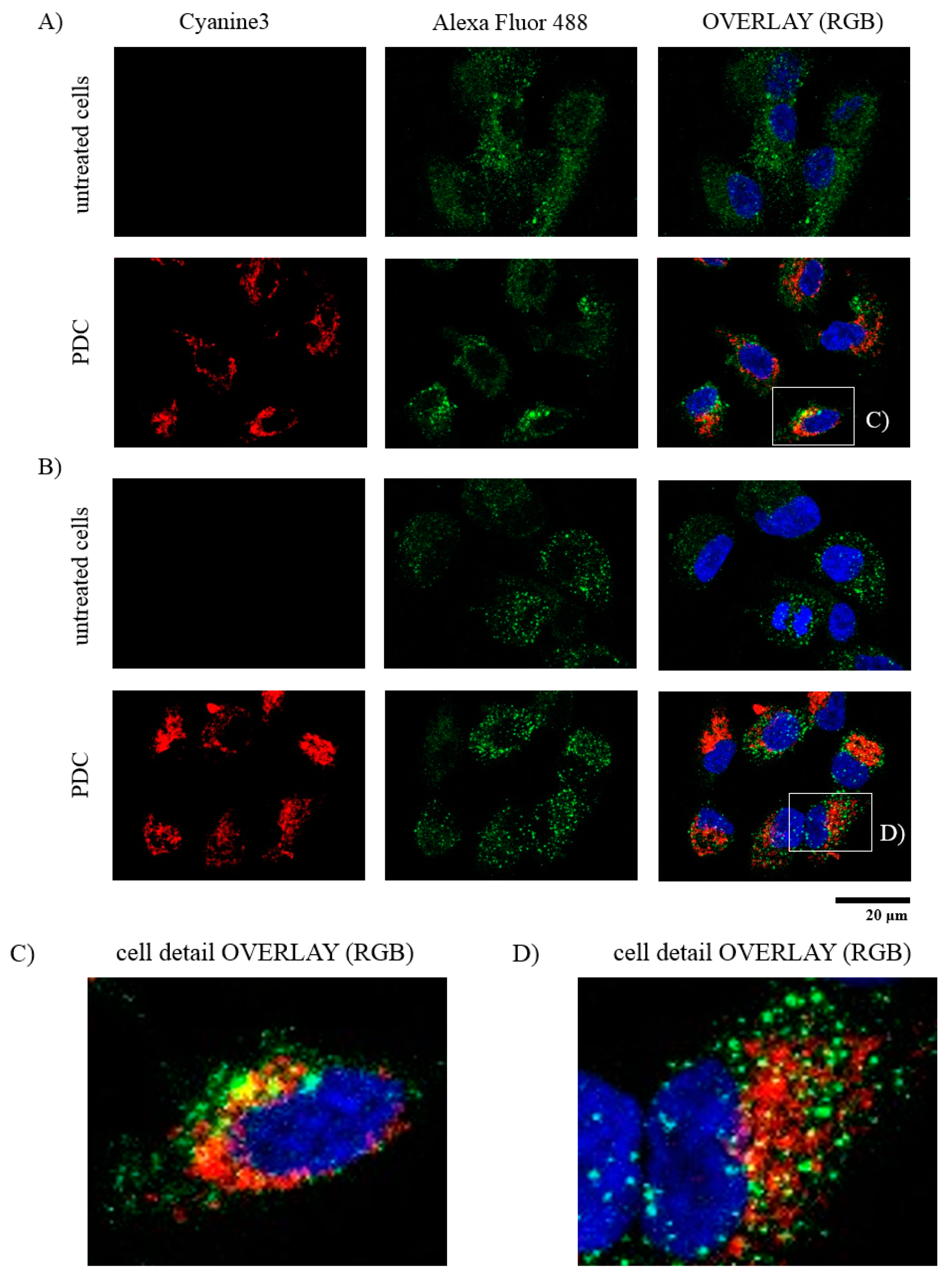Pharmaceutics 13 00791 g008