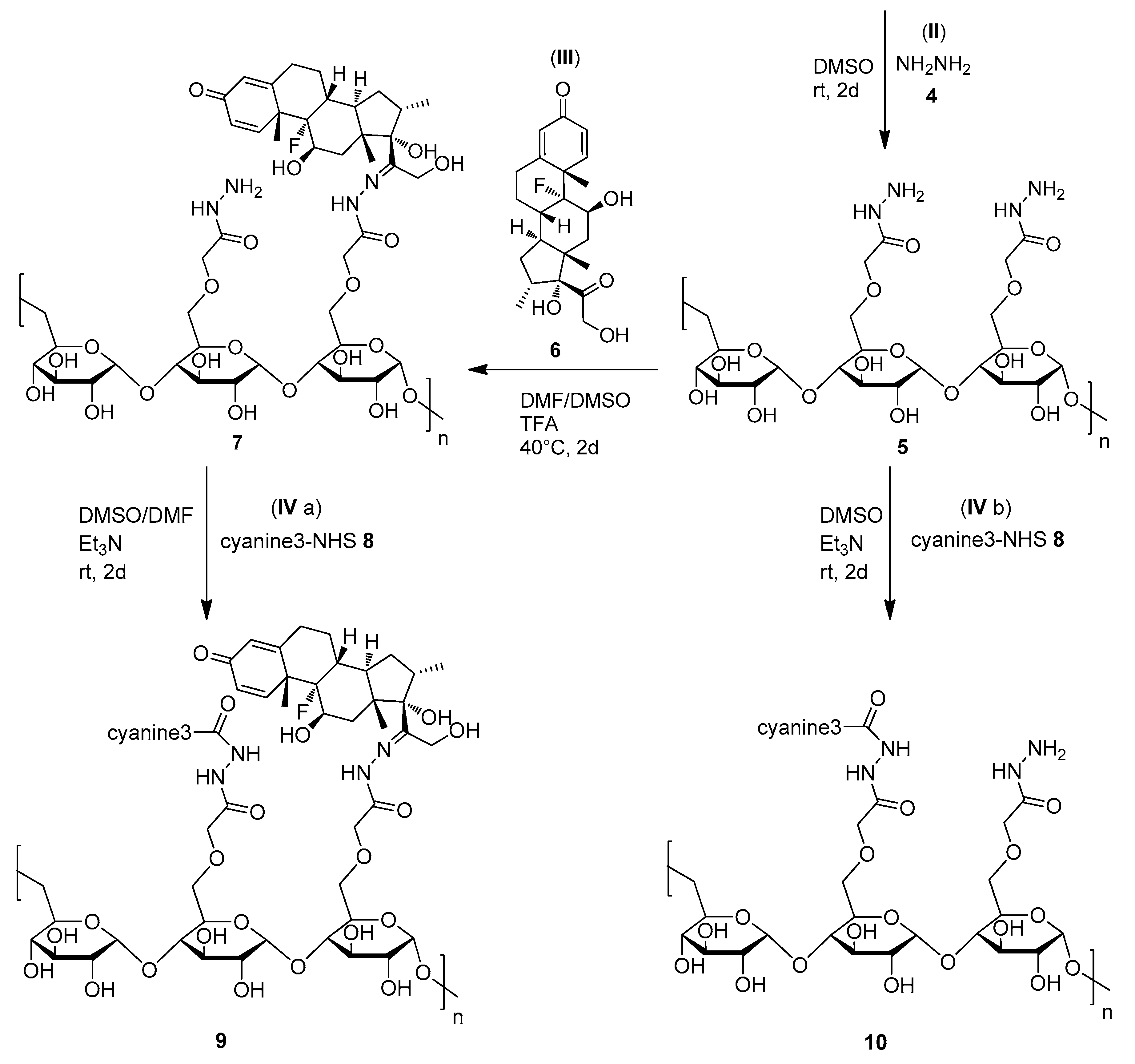 Pharmaceutics 13 00791 sch001b