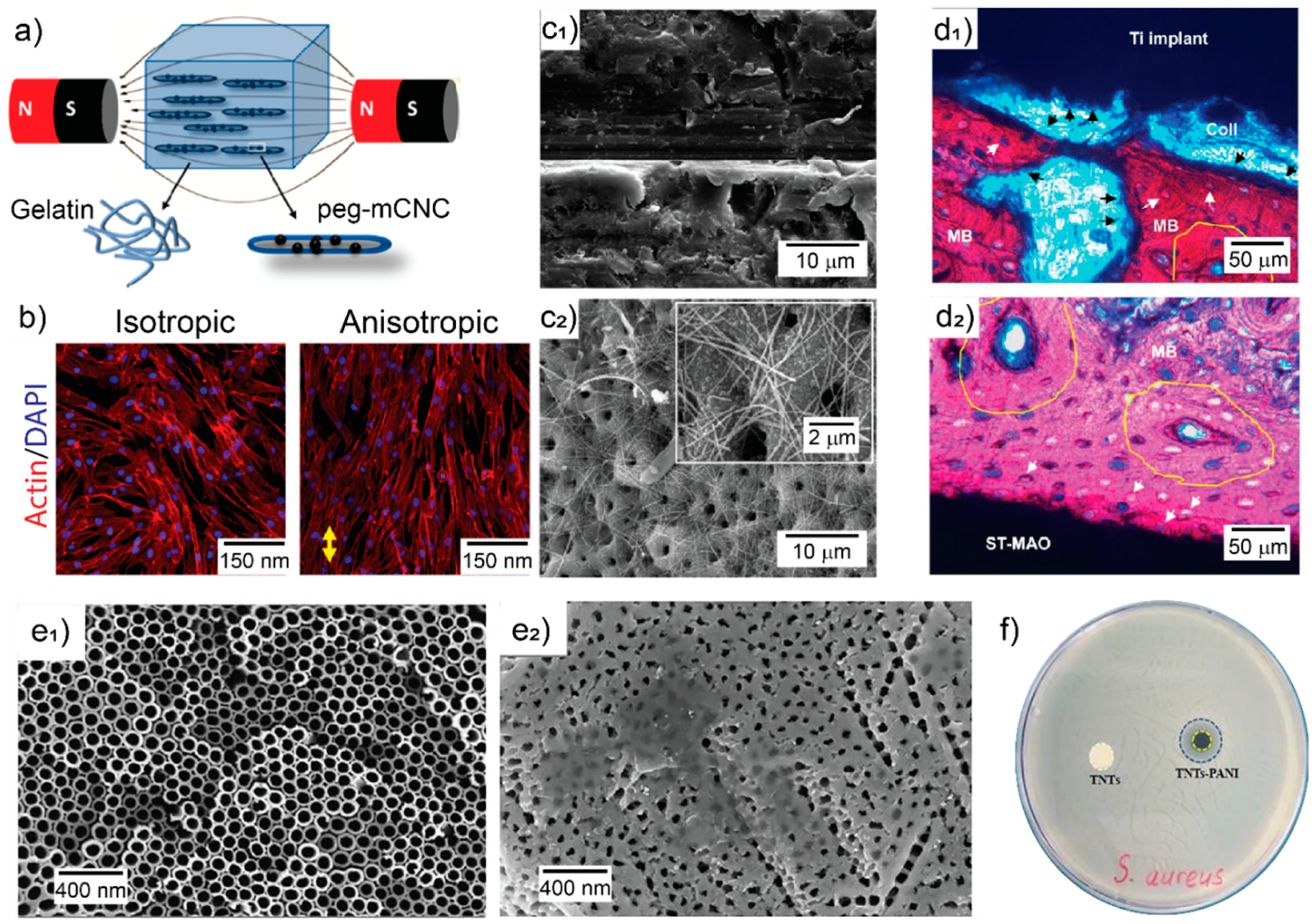 Pharmaceutics 13 00792 g001 Pharmaceutics 13 00792 g001