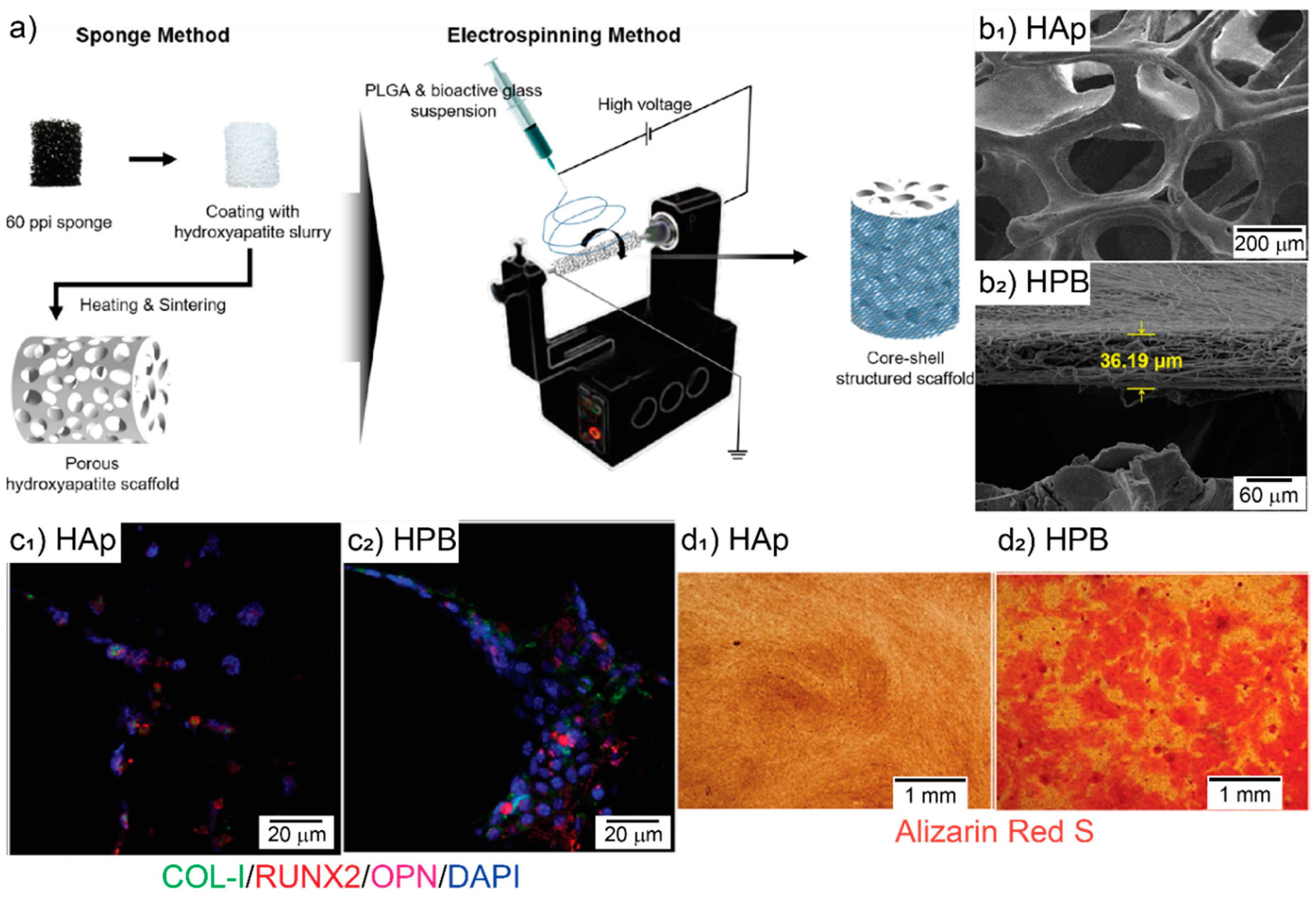 Pharmaceutics 13 00792 g003 Pharmaceutics 13 00792 g003