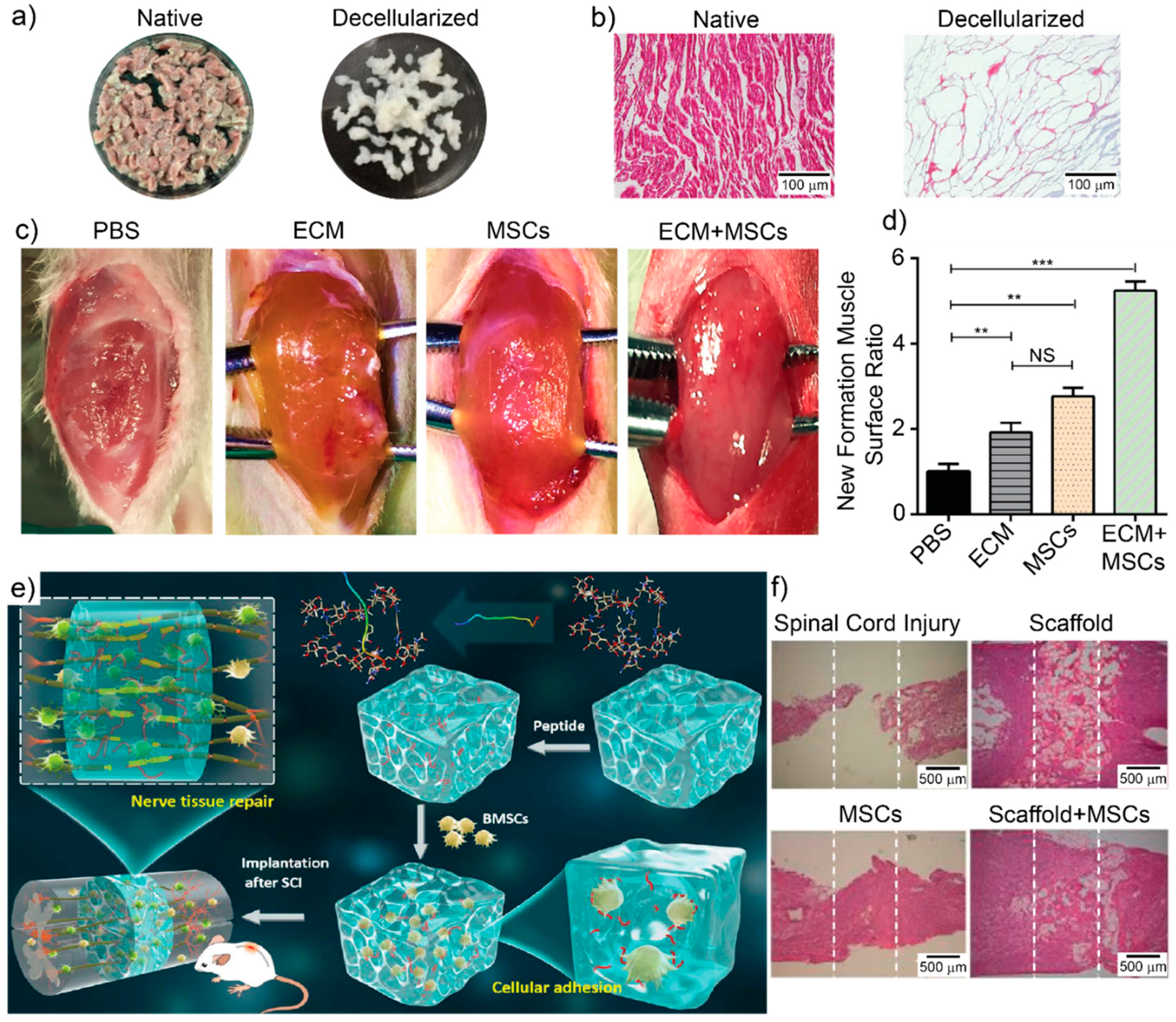 Pharmaceutics 13 00792 g004 Pharmaceutics 13 00792 g004