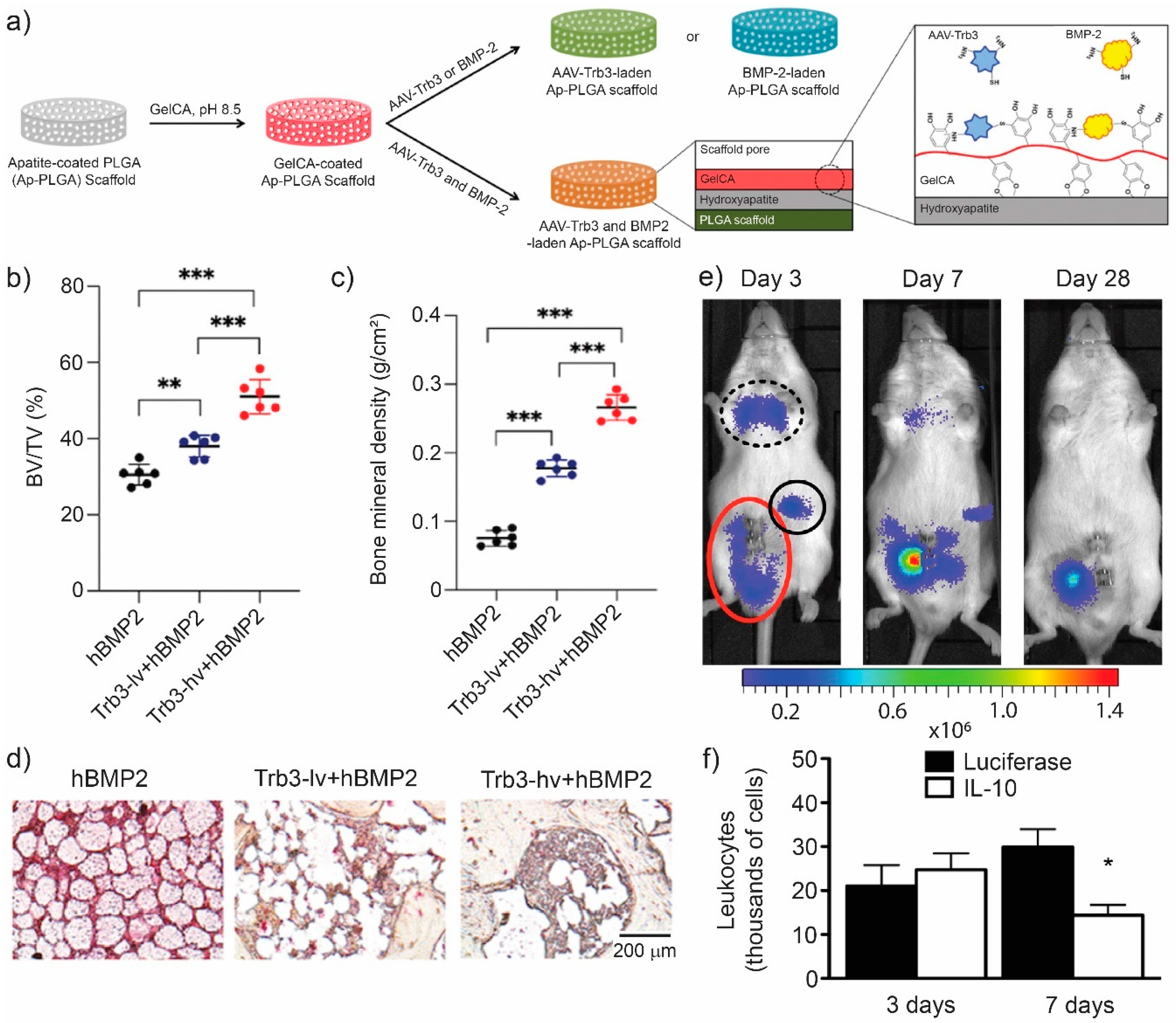 Pharmaceutics 13 00792 g005 Pharmaceutics 13 00792 g005