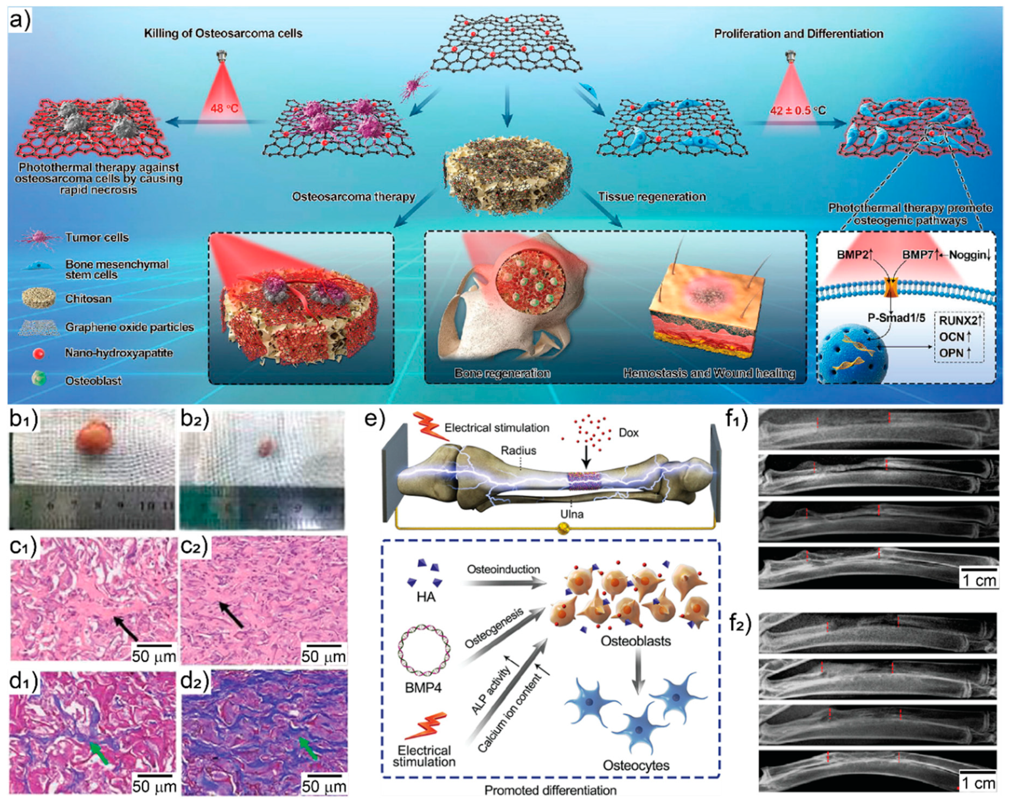 Pharmaceutics 13 00792 g006 Pharmaceutics 13 00792 g006