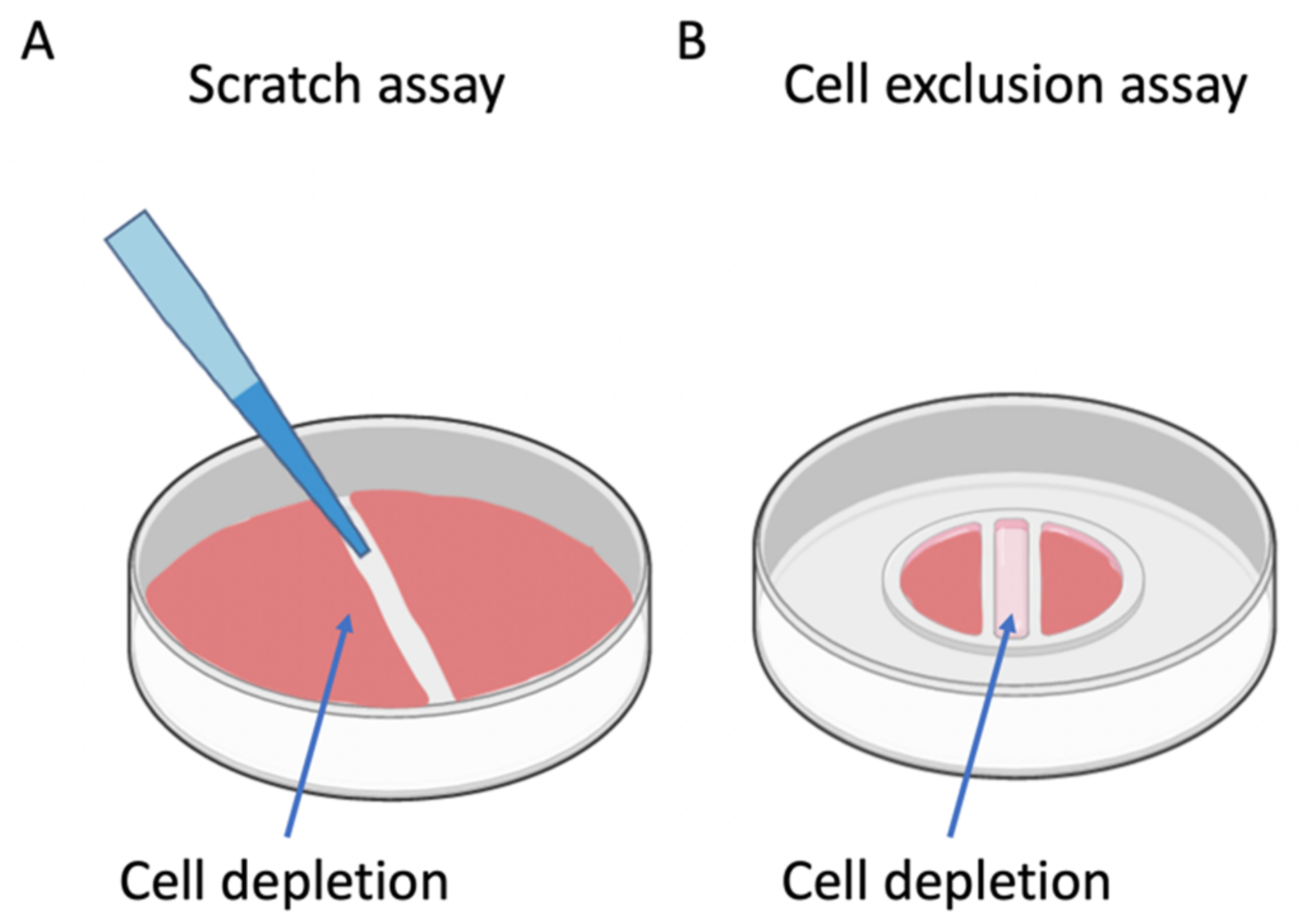 Pharmaceutics 13 00793 g002