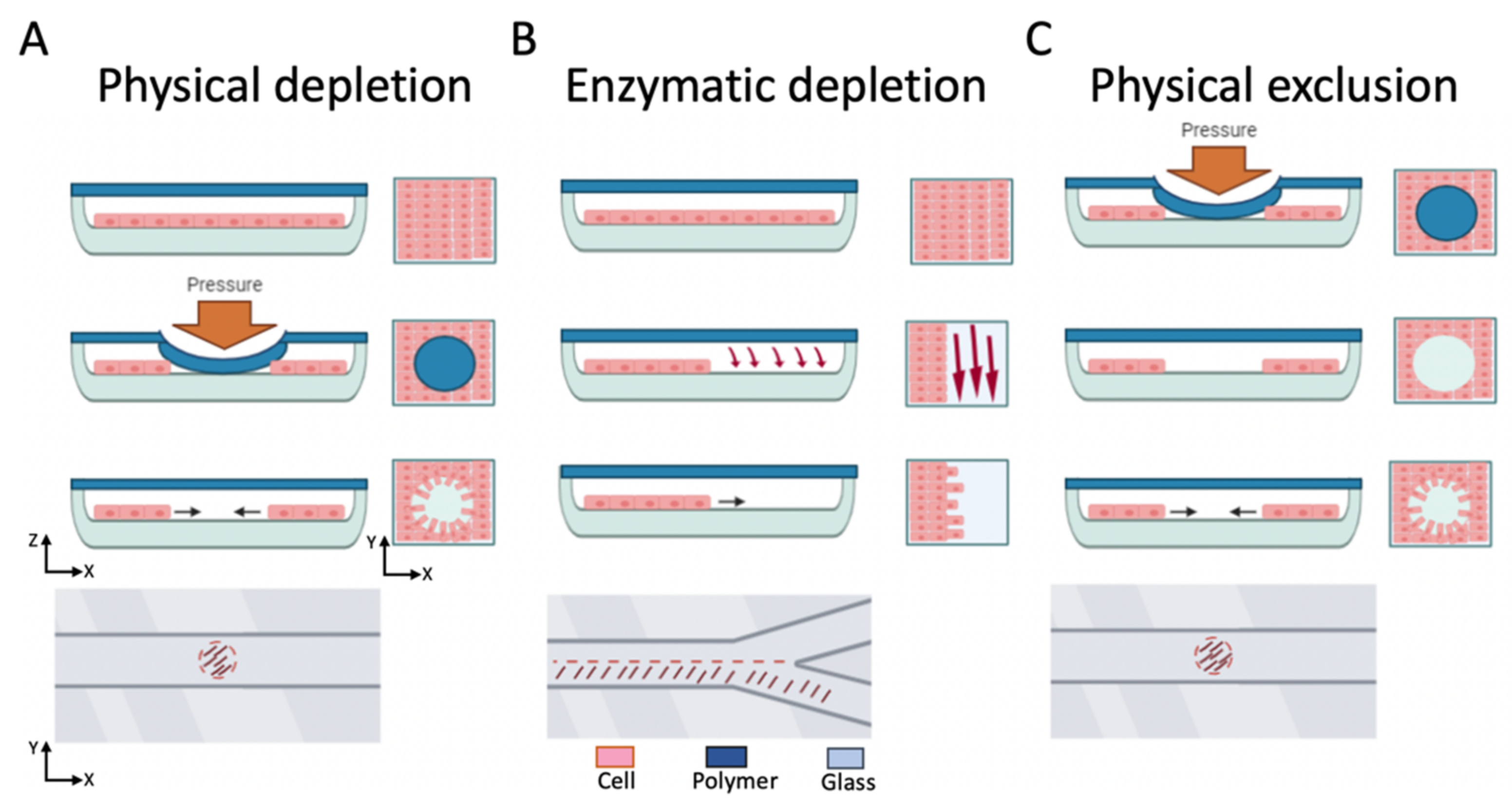 Pharmaceutics 13 00793 g003