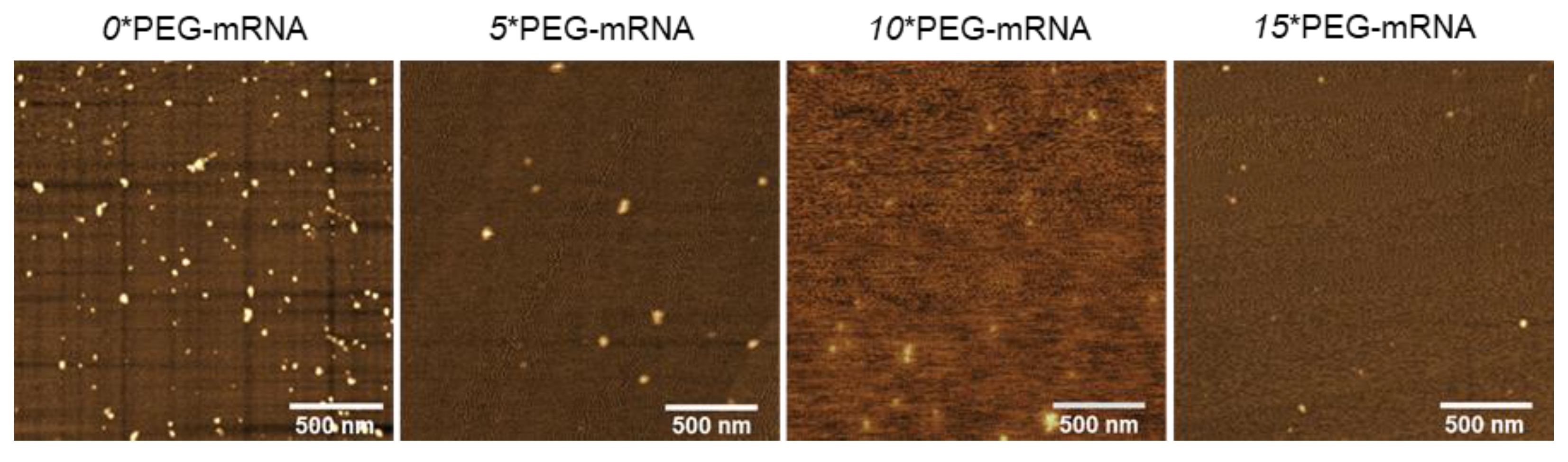 Pharmaceutics 13 00800 g003