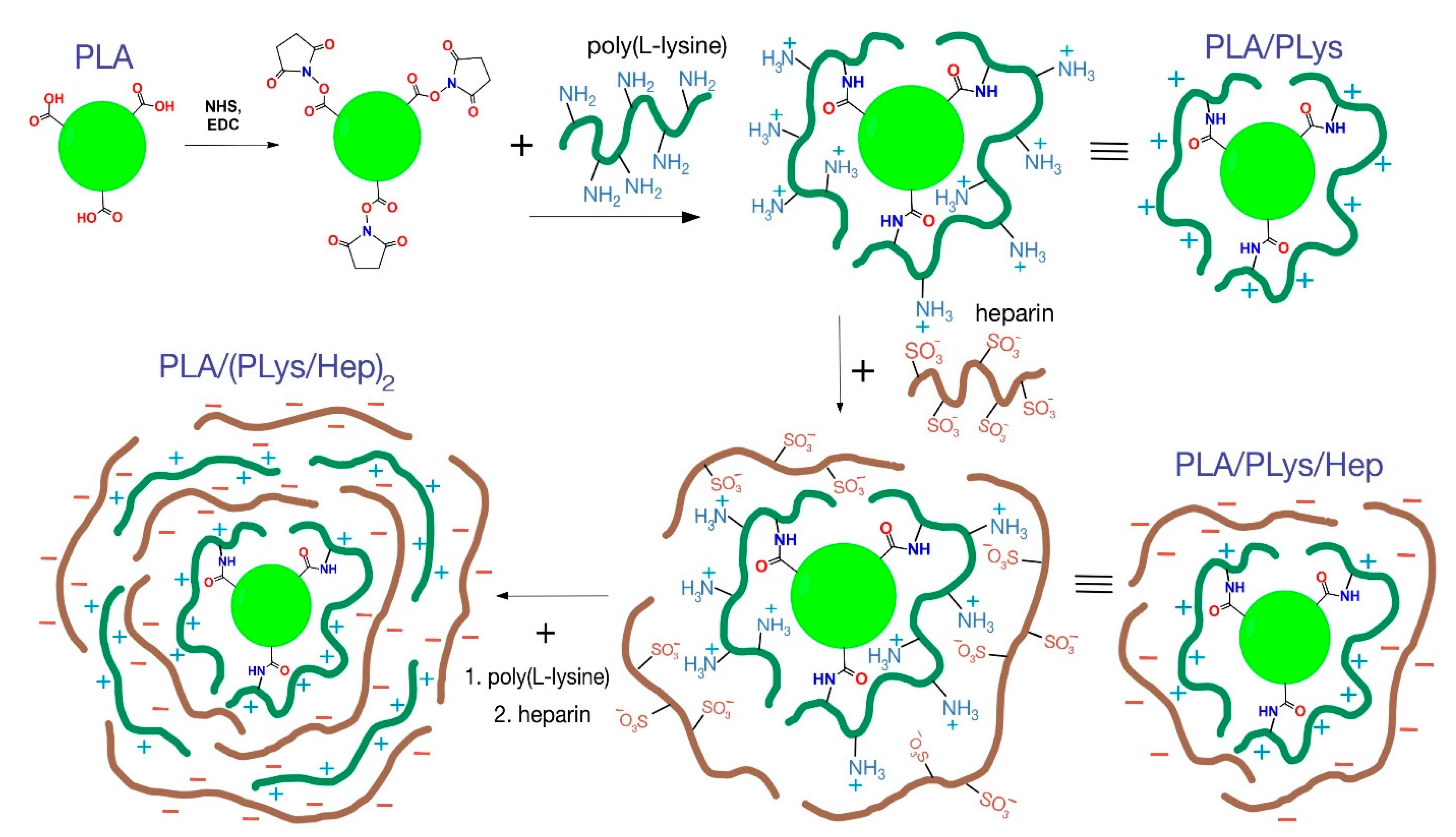 Pharmaceutics 13 00801 g001