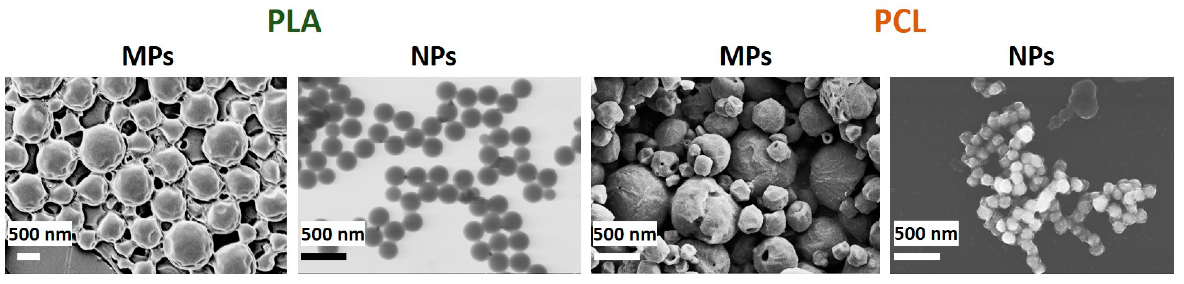 Pharmaceutics 13 00801 g002