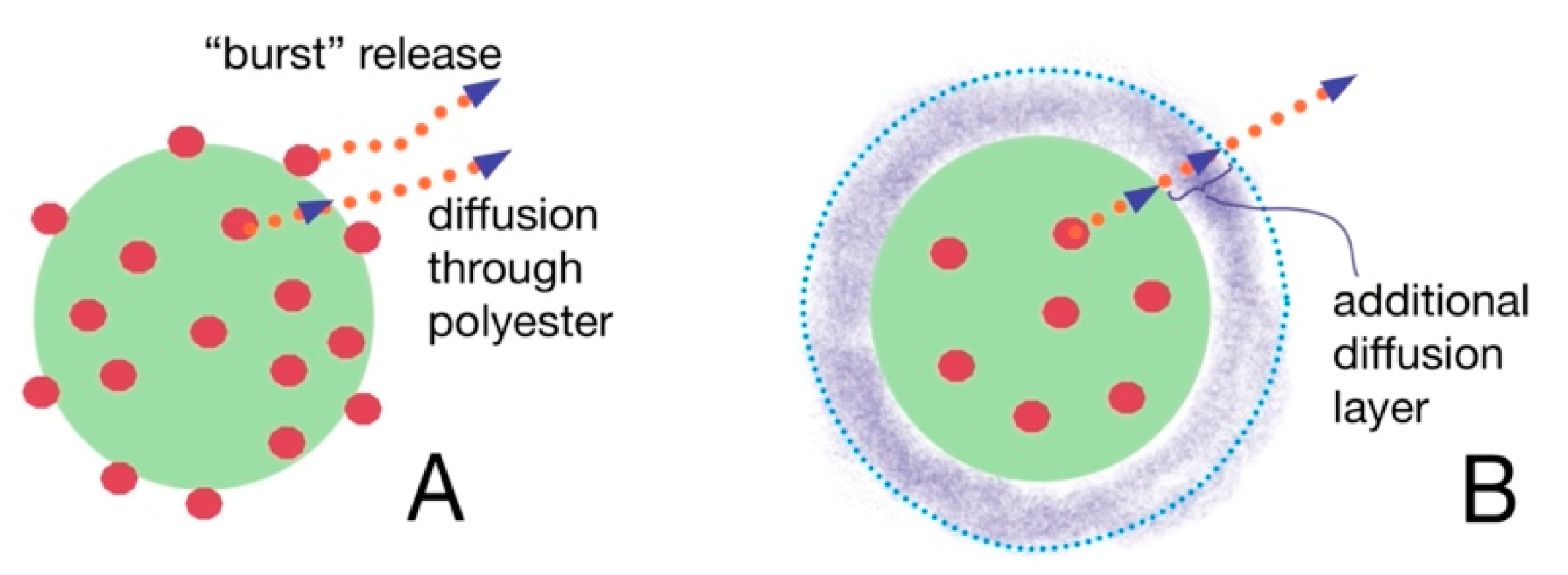 Pharmaceutics 13 00801 g004