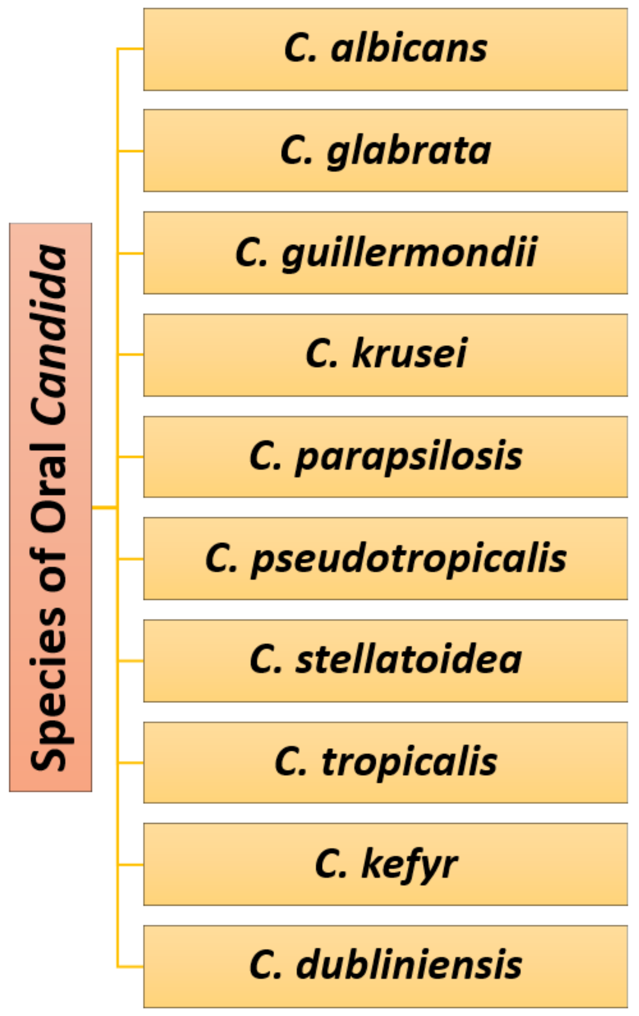 Pharmaceutics 13 00803 g002