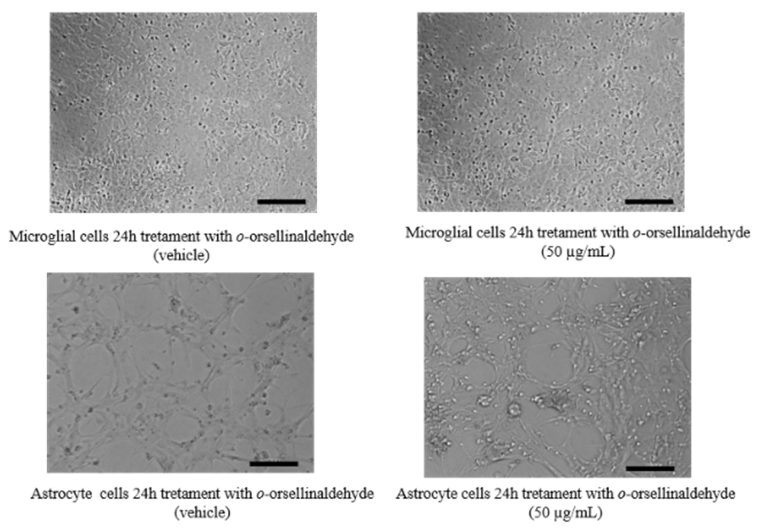 Pharmaceutics 13 00806 g002