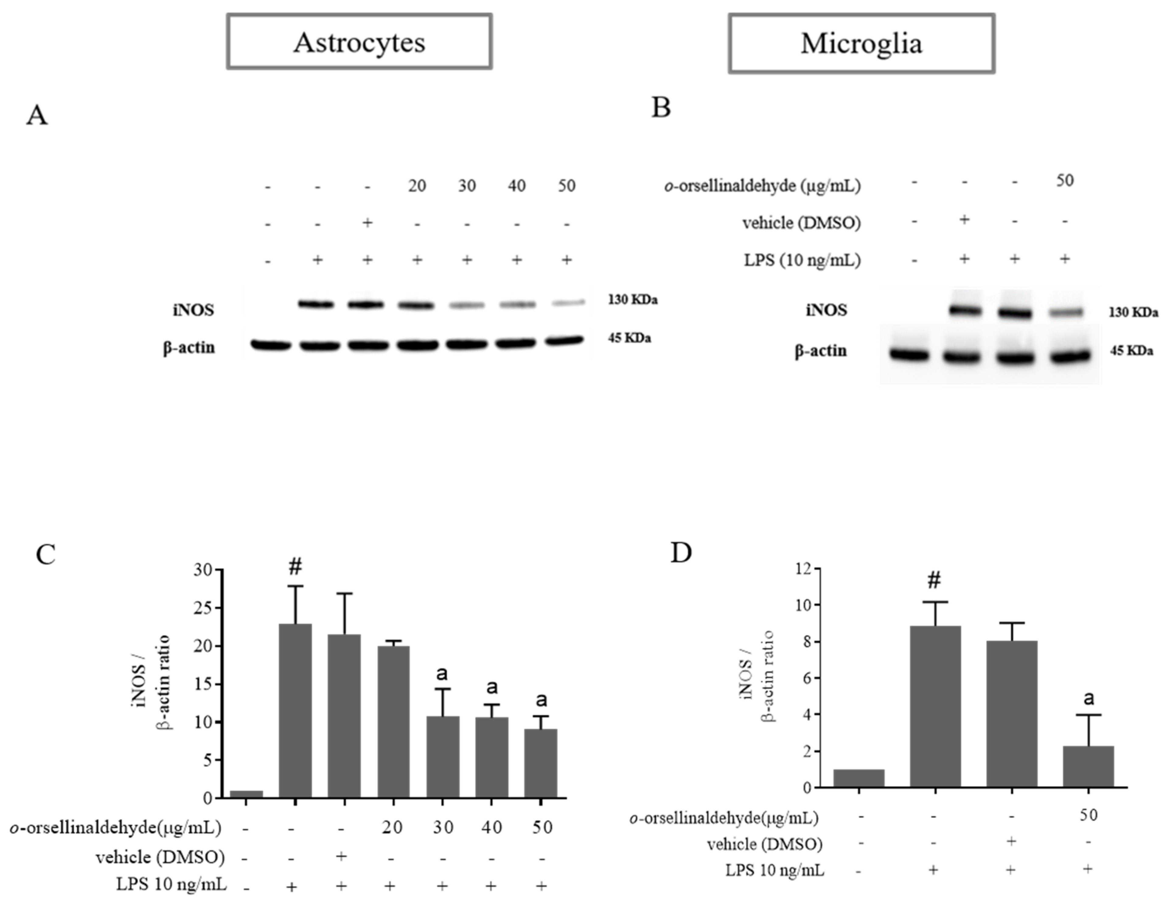 Pharmaceutics 13 00806 g004