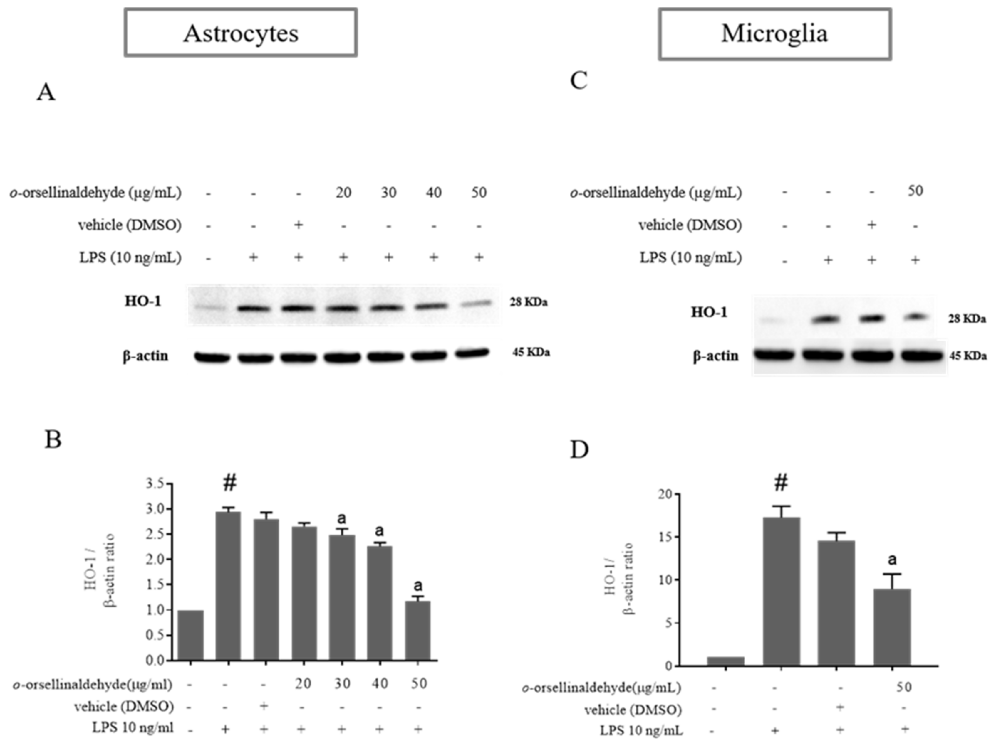 Pharmaceutics 13 00806 g005