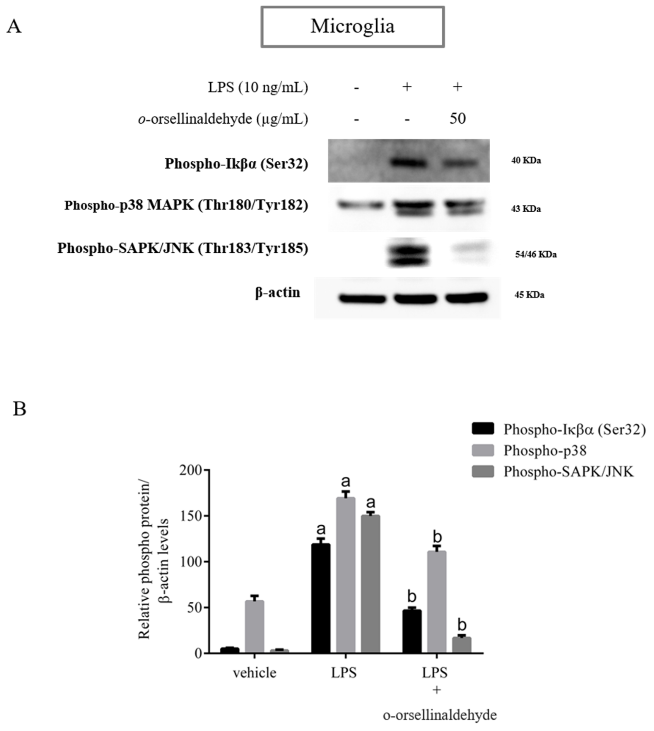 Pharmaceutics 13 00806 g006