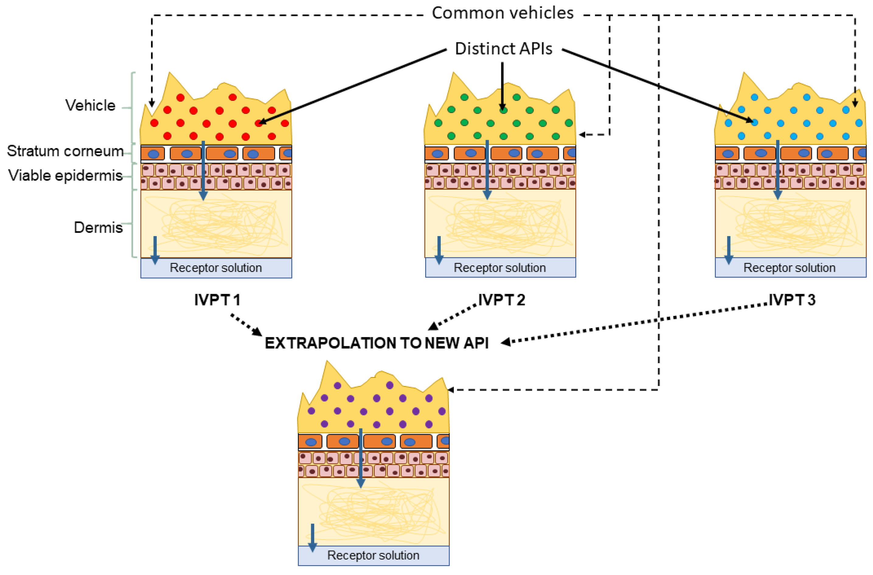 Pharmaceutics 13 00807 g007