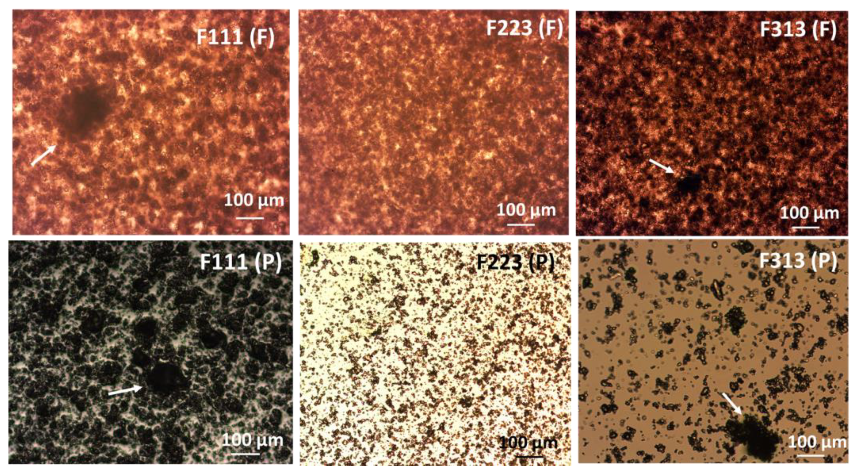 Pharmaceutics 13 00812 g005