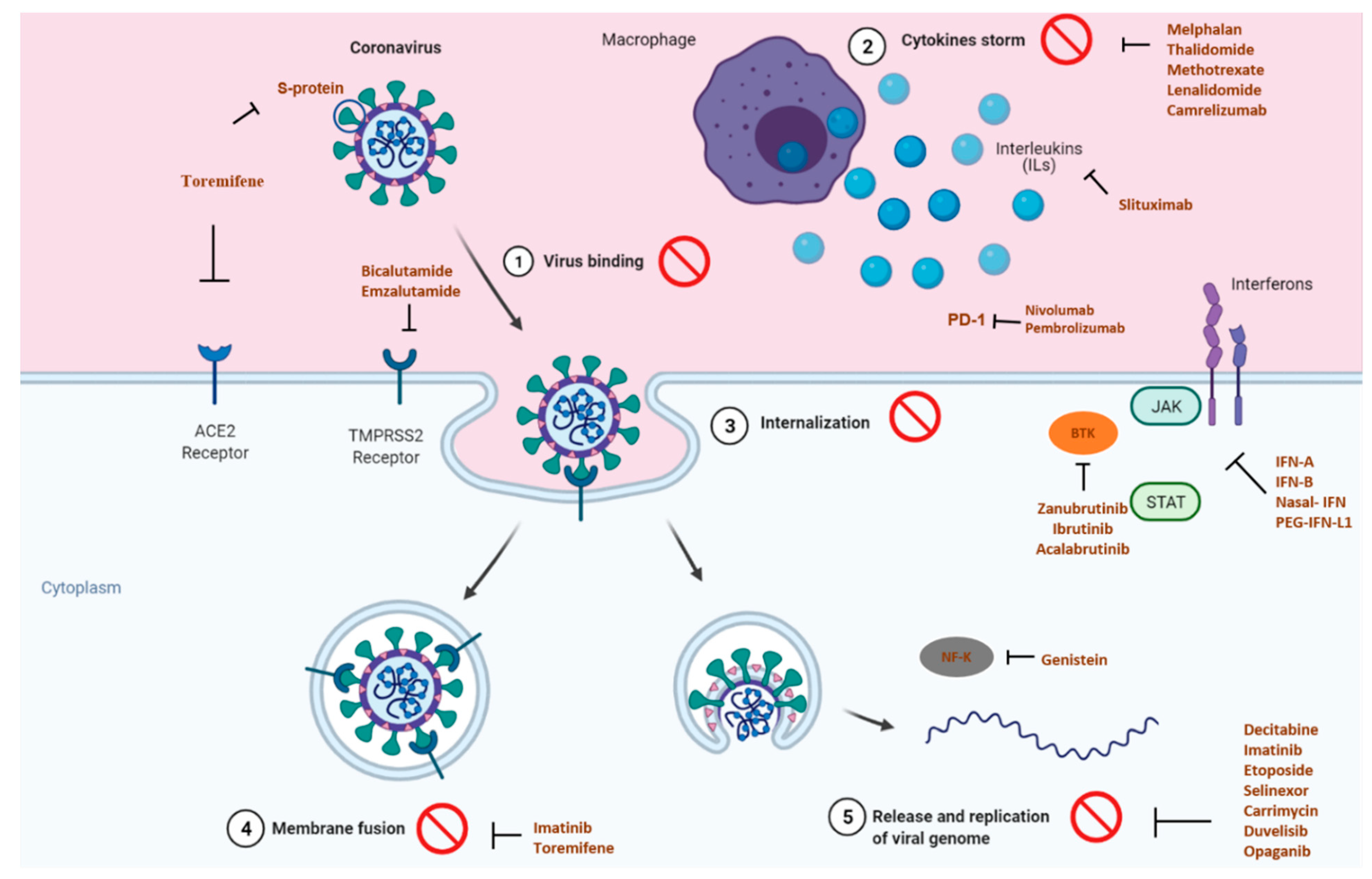 Pharmaceutics 13 00815 g001 Pharmaceutics 13 00815 g001