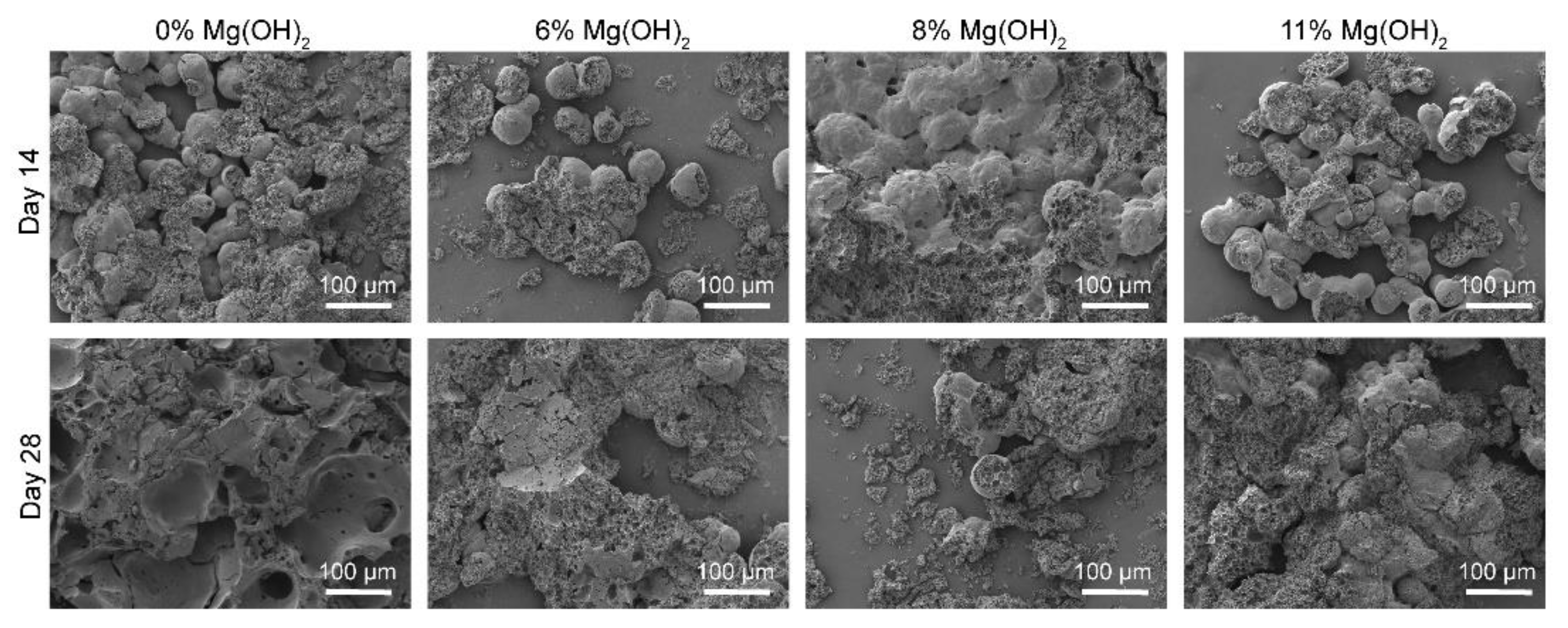 Pharmaceutics 13 00816 g004 Pharmaceutics 13 00816 g004