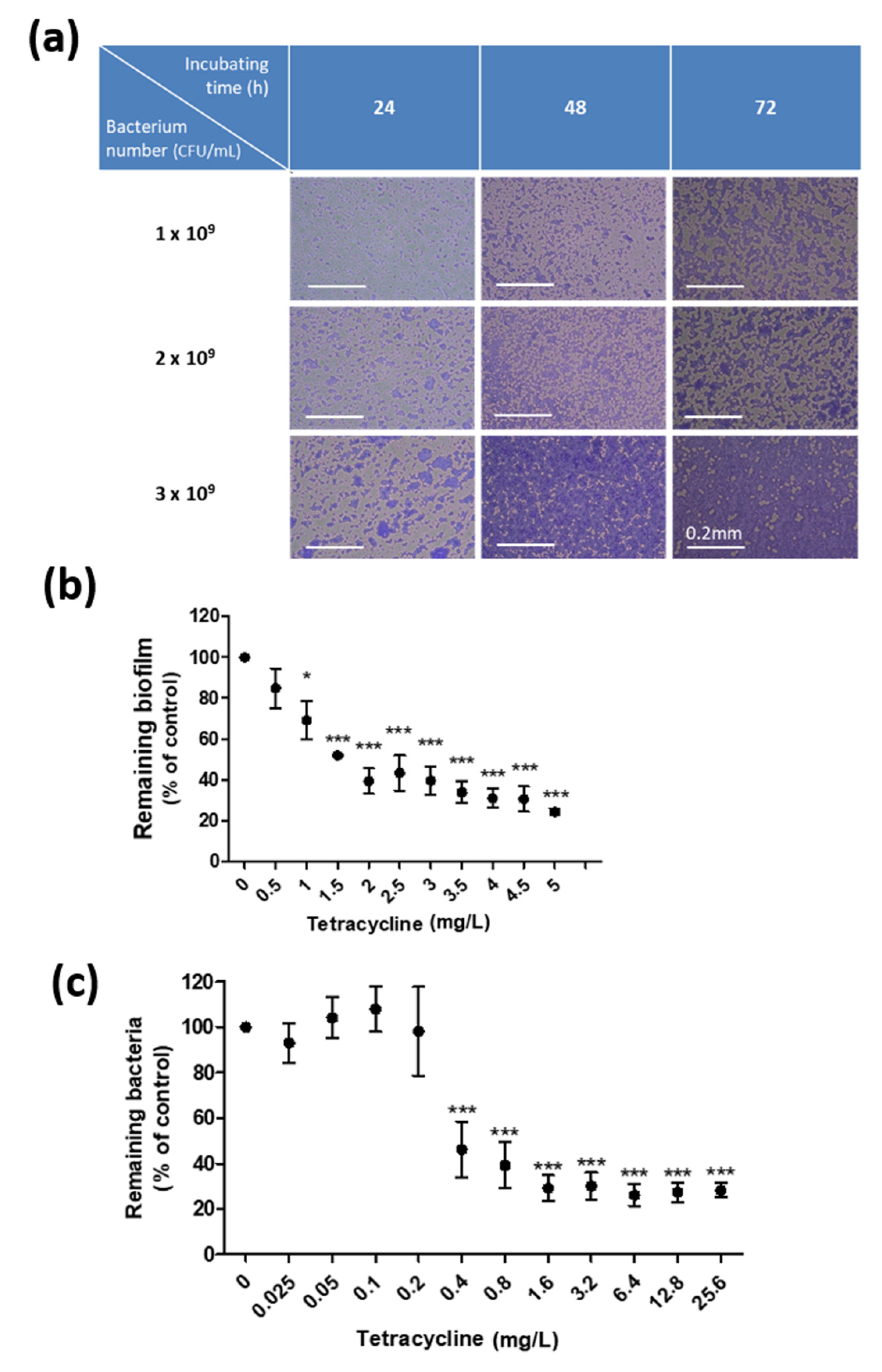 Pharmaceutics 13 00819 g001