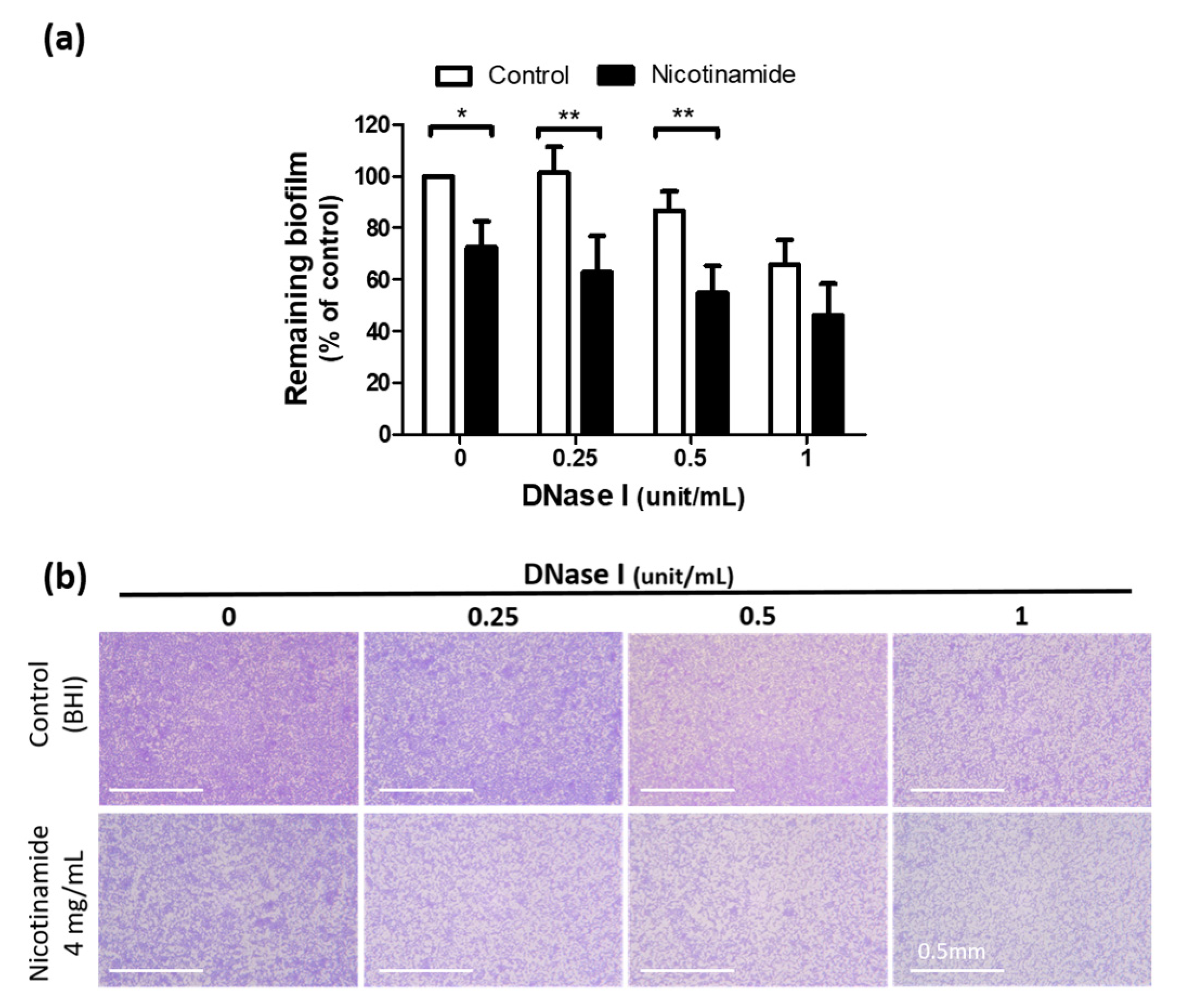 Pharmaceutics 13 00819 g005