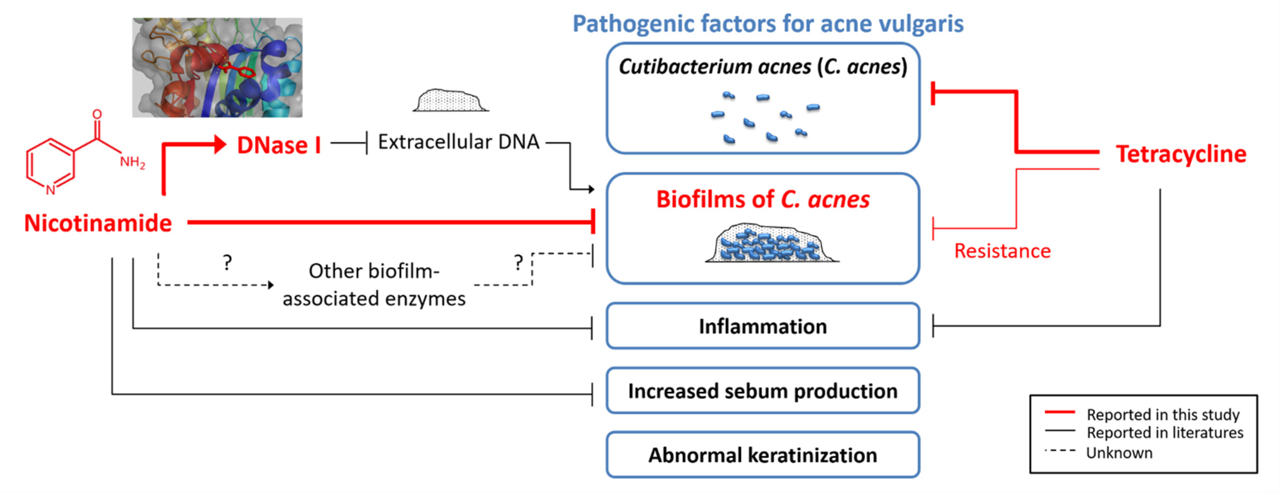Pharmaceutics 13 00819 g007
