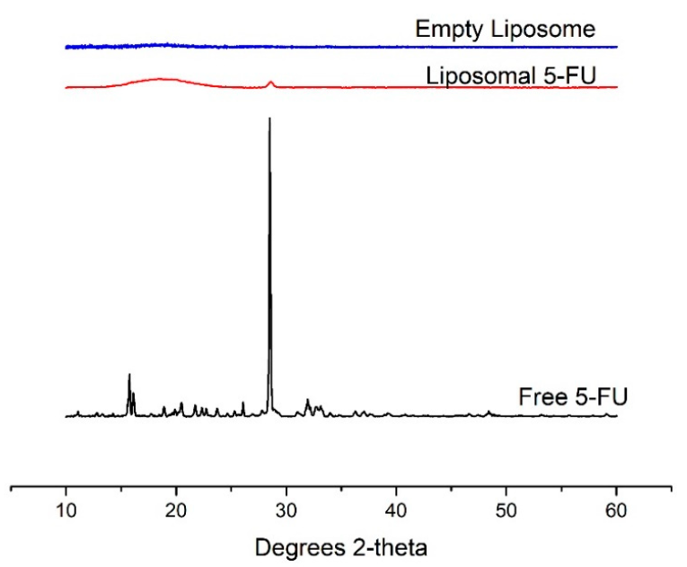 Pharmaceutics 13 00821 g004