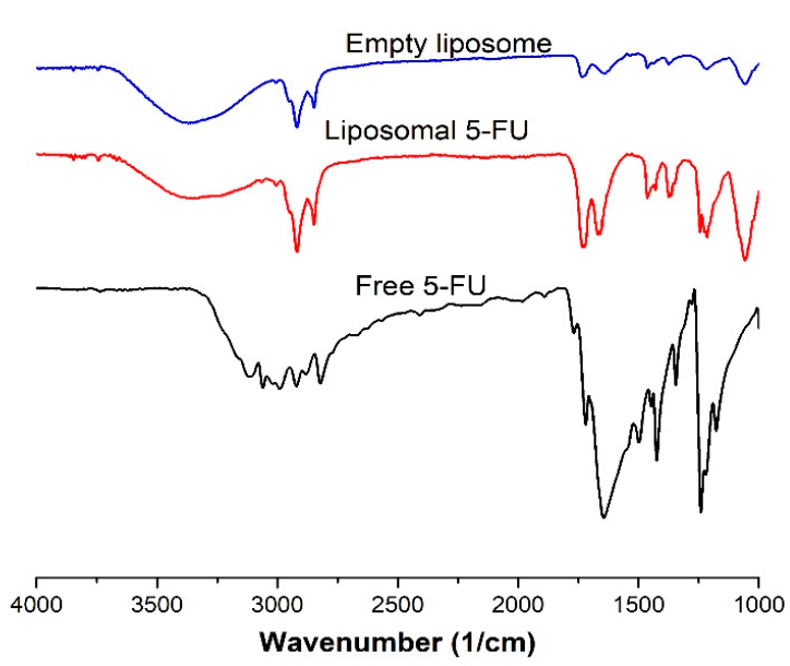 Pharmaceutics 13 00821 g005