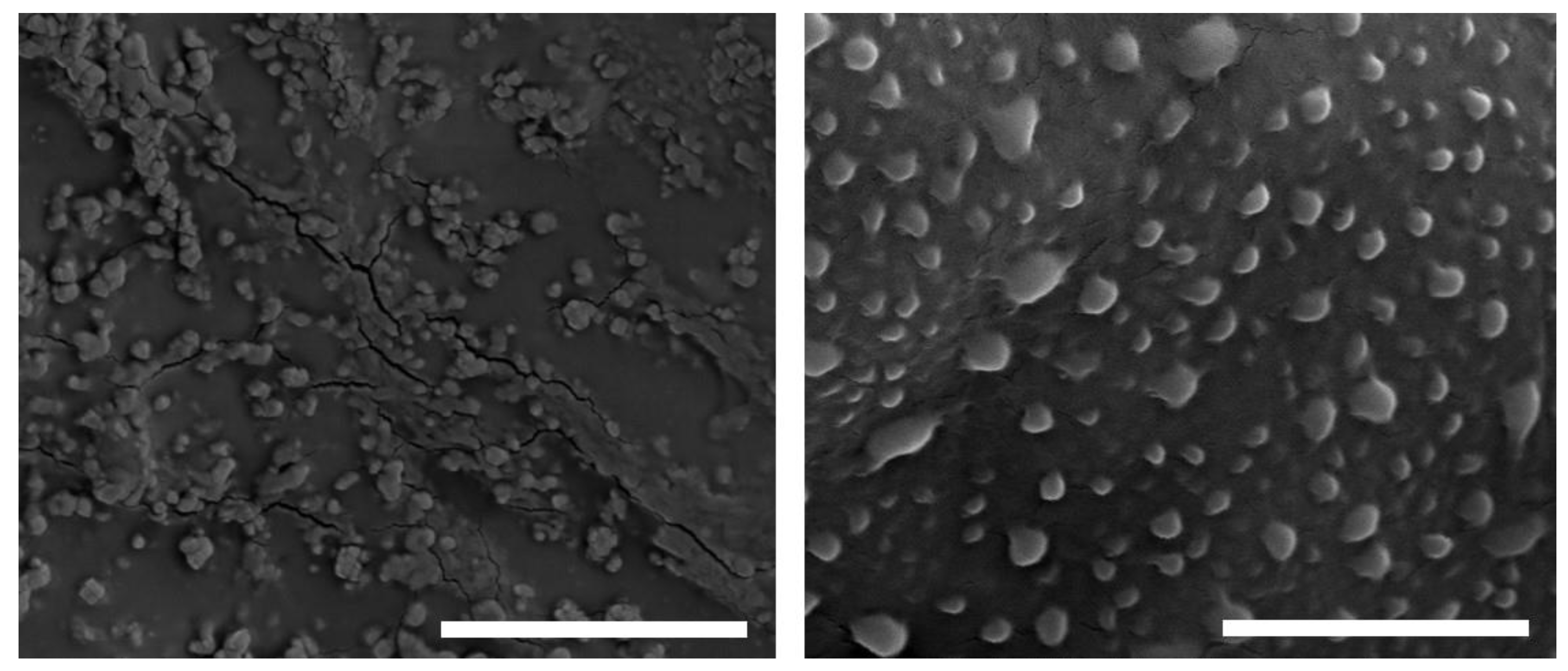 Pharmaceutics 13 00822 g001