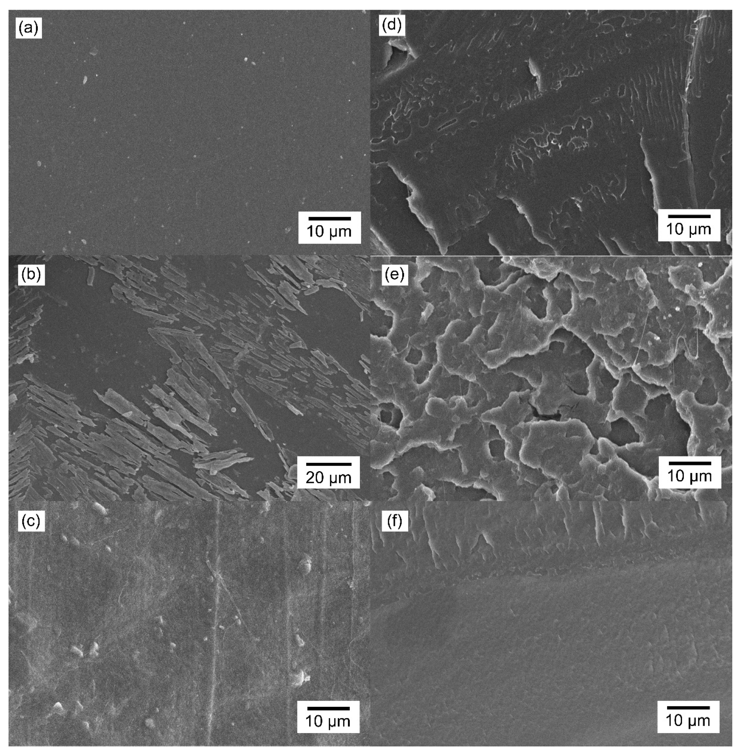 Pharmaceutics 13 00824 g004