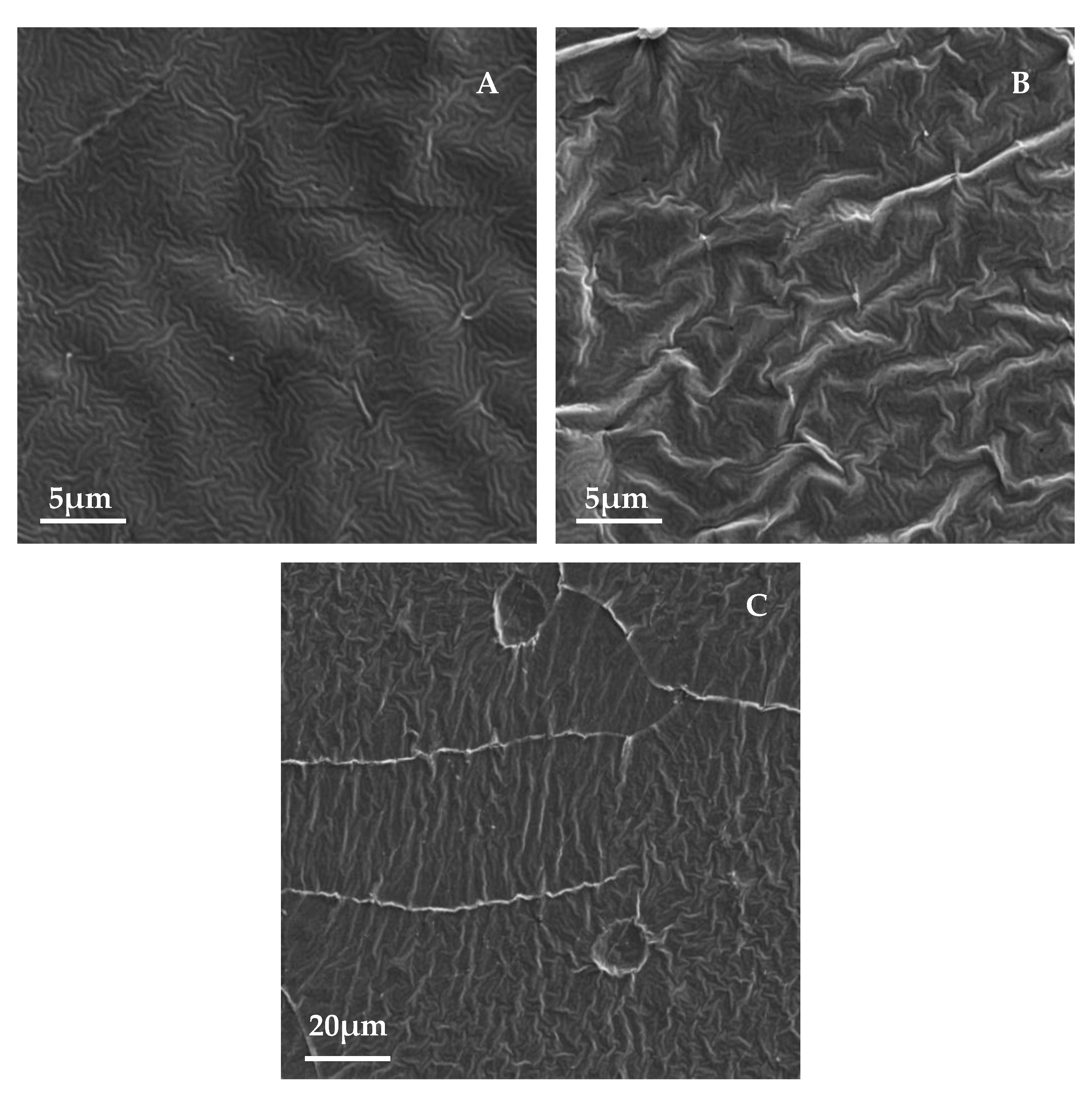 Pharmaceutics 13 00826 g003