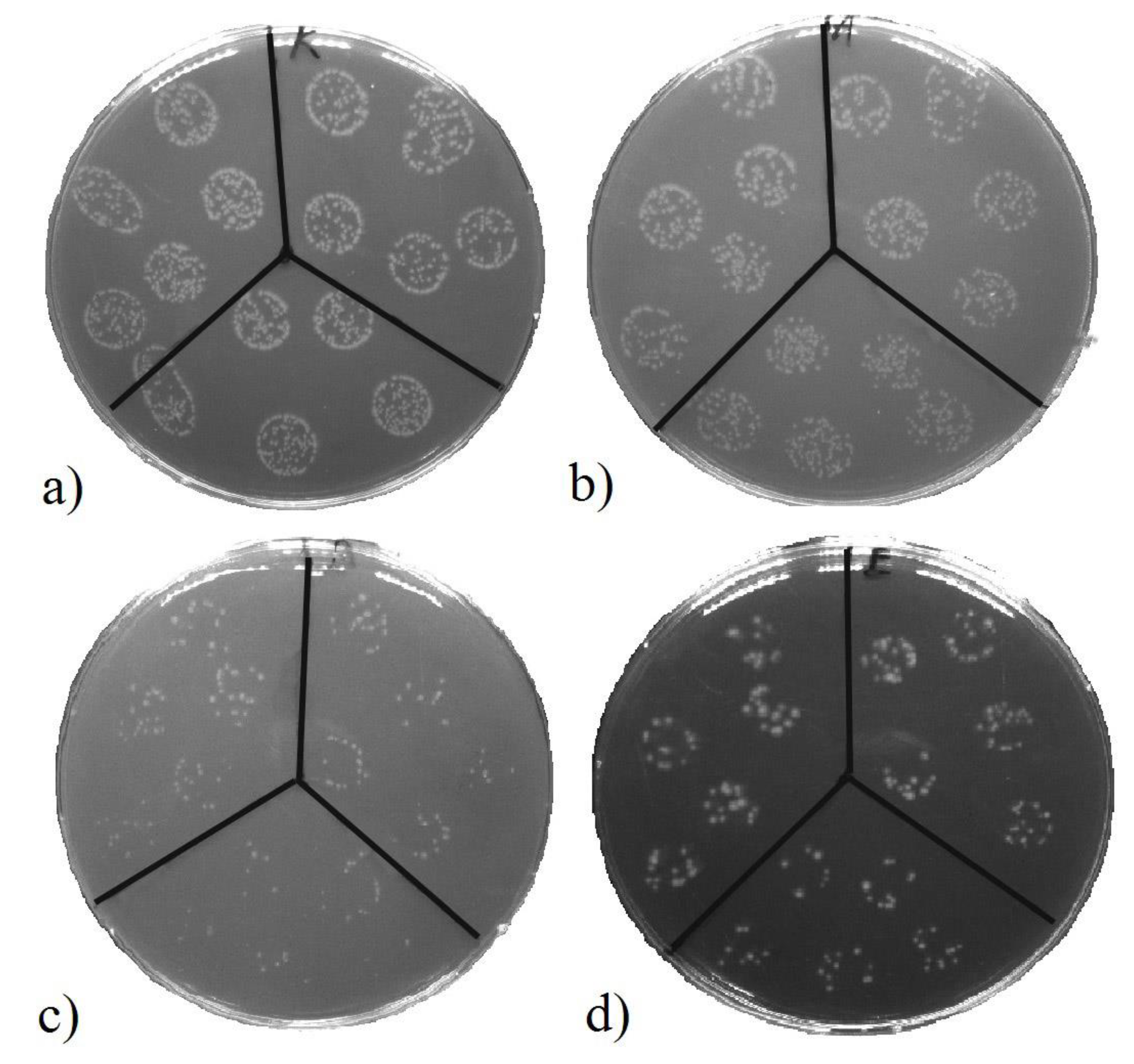 Pharmaceutics 13 00826 g013