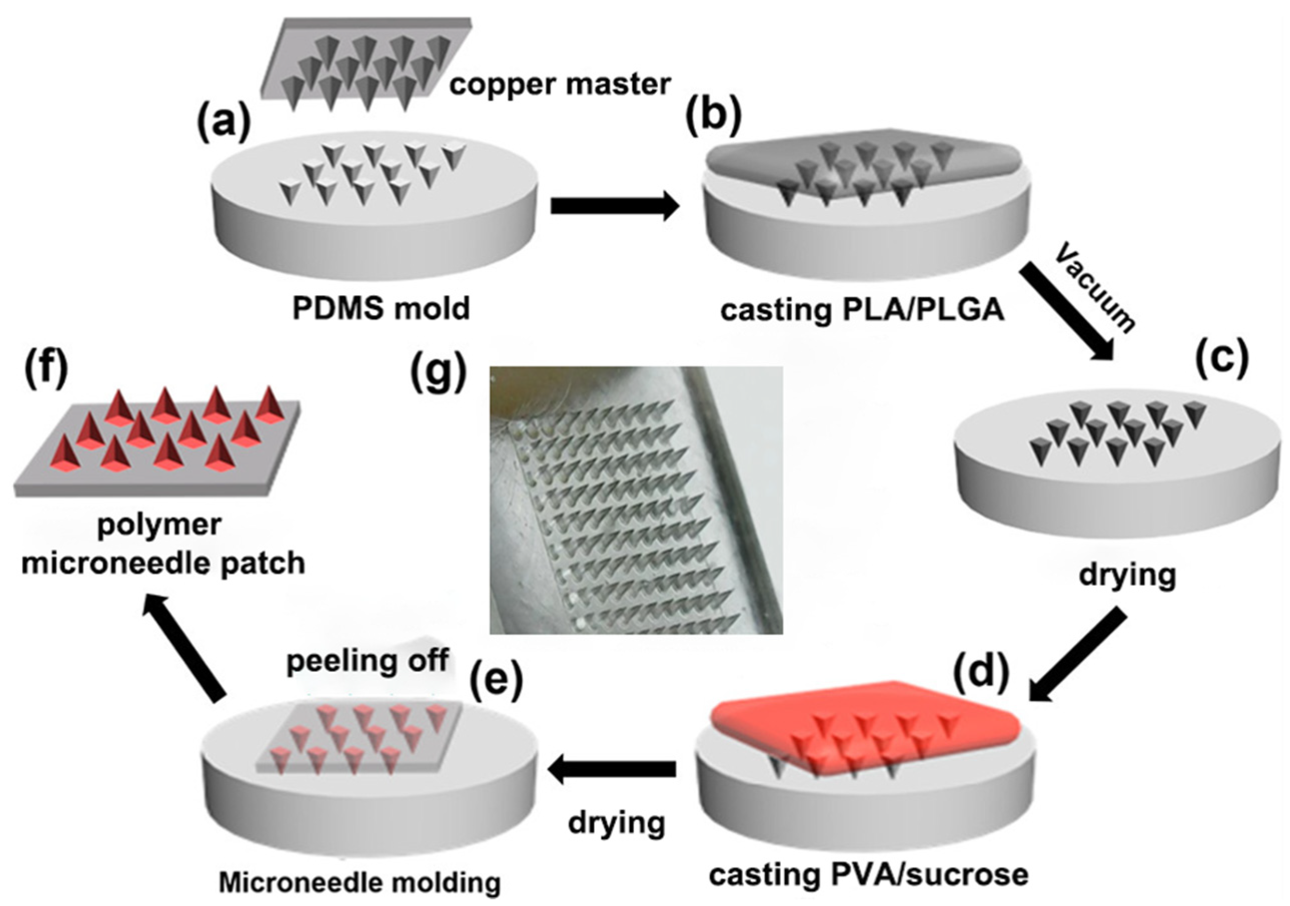 Pharmaceutics 13 00827 g002
