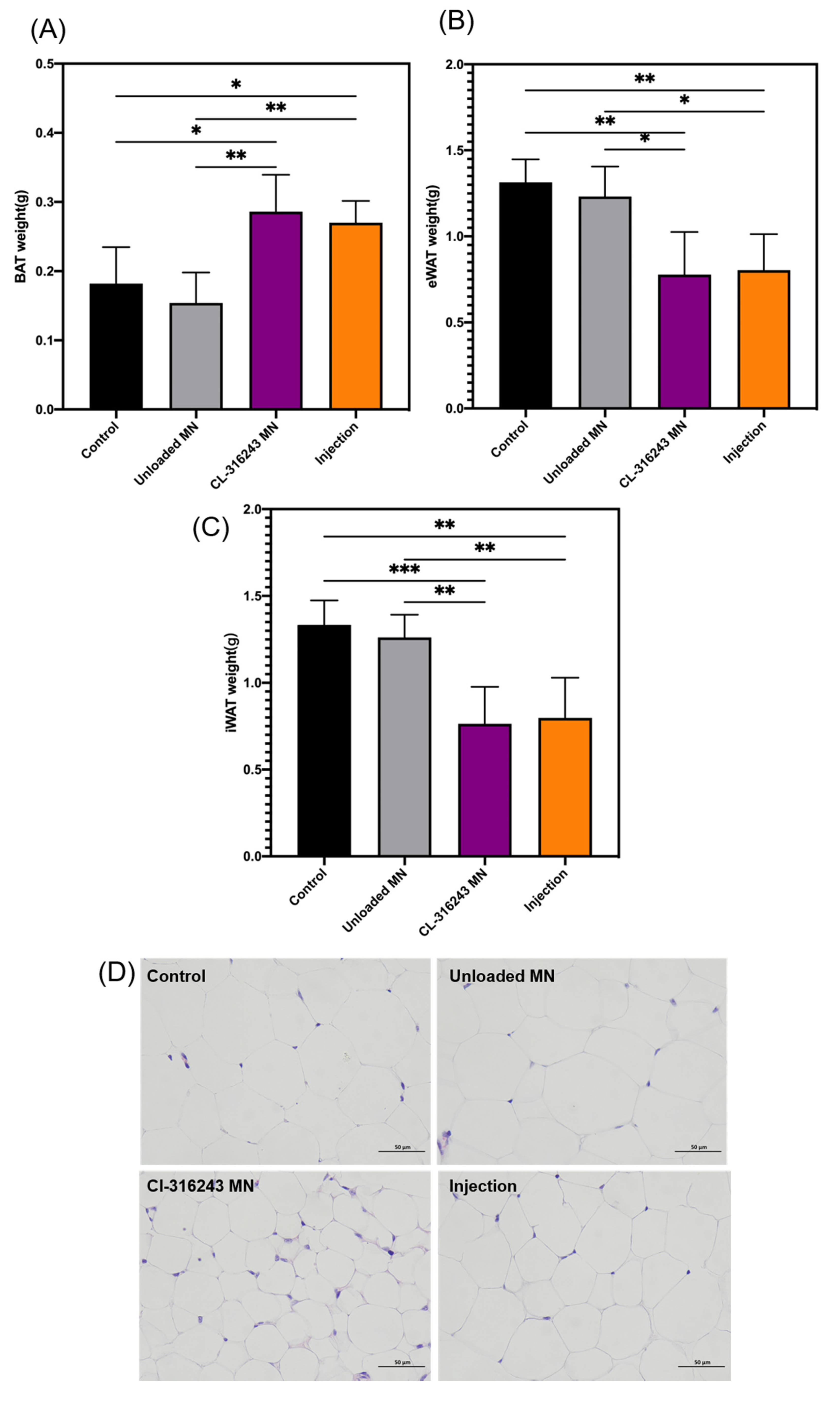 Pharmaceutics 13 00827 g006a