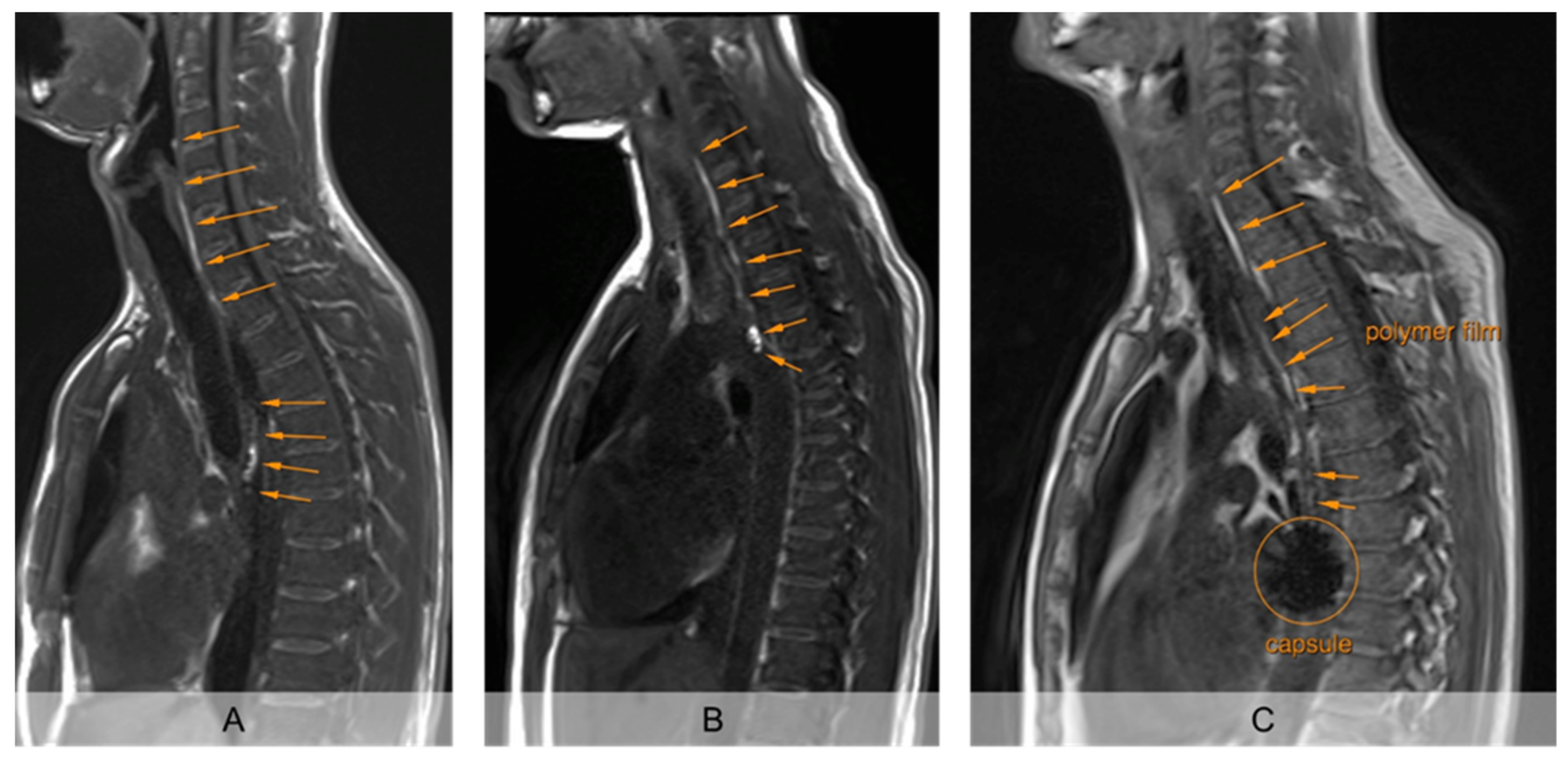 Pharmaceutics 13 00828 g002
