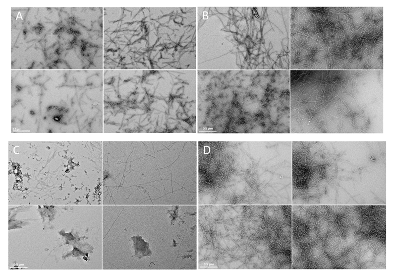 Pharmaceutics 13 00830 g003 Pharmaceutics 13 00830 g003