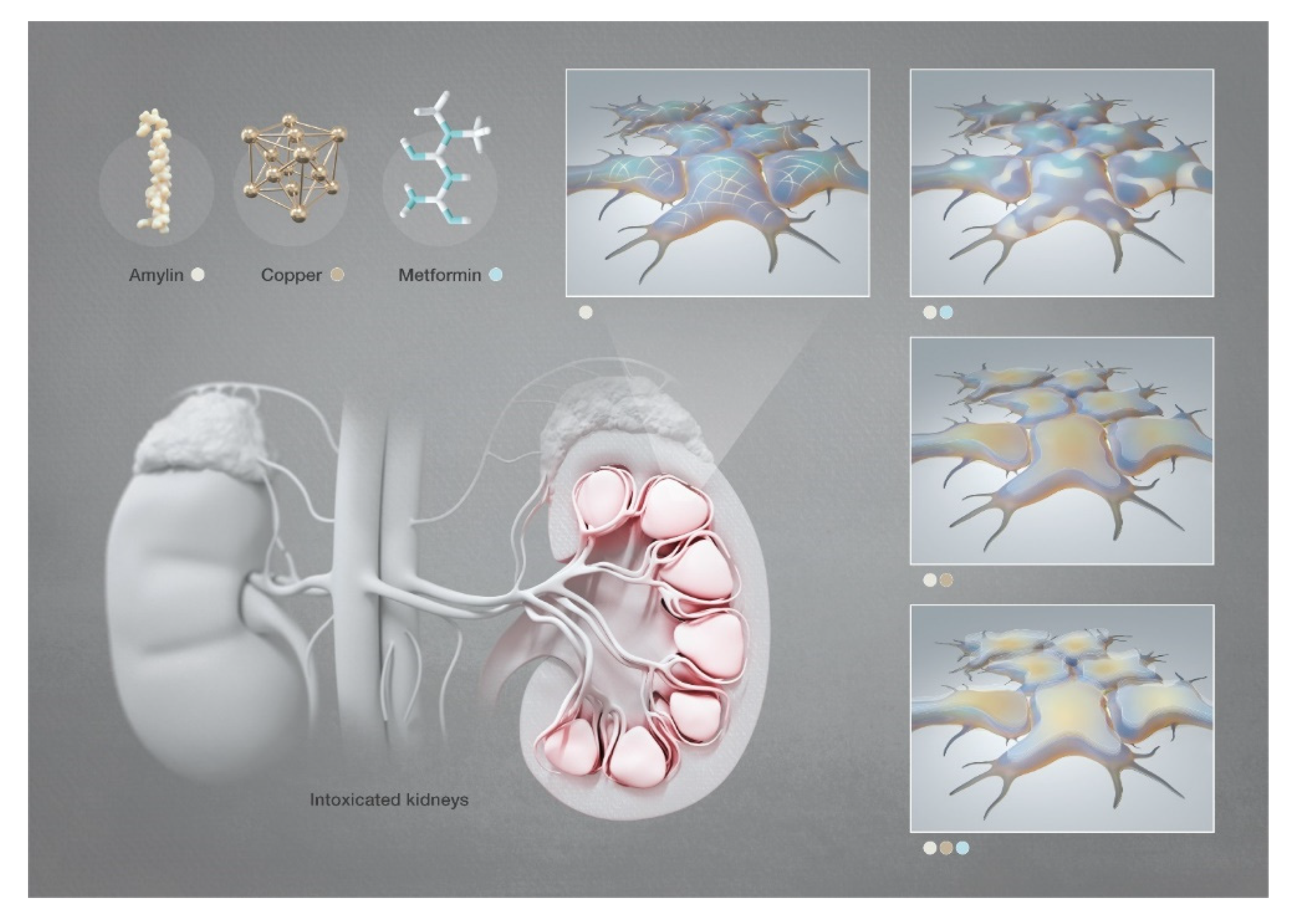 Pharmaceutics 13 00830 sch002 Pharmaceutics 13 00830 sch002