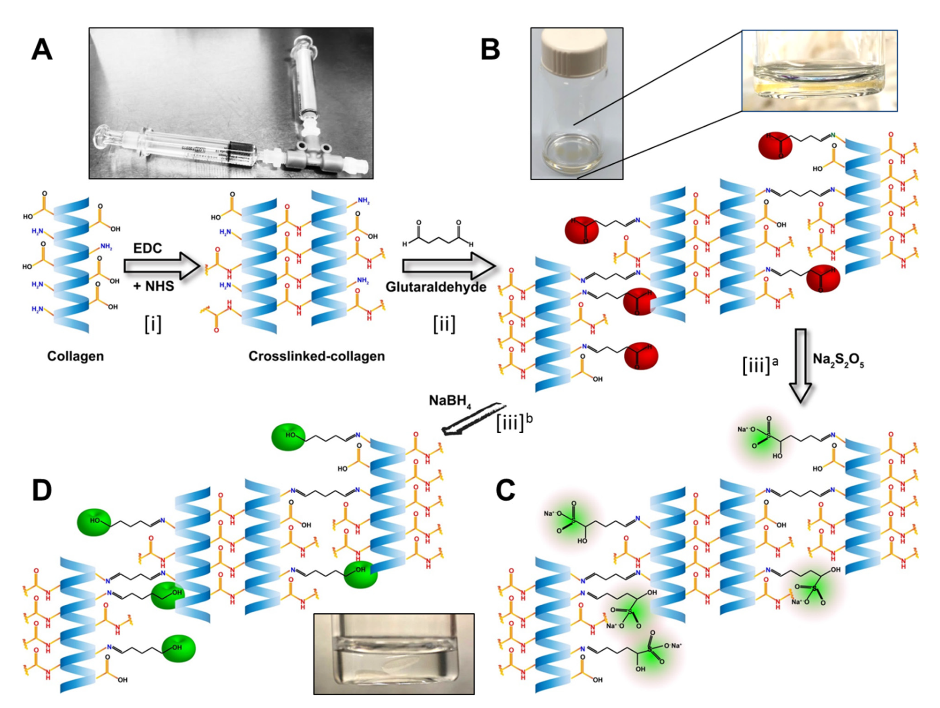 Pharmaceutics 13 00832 g001